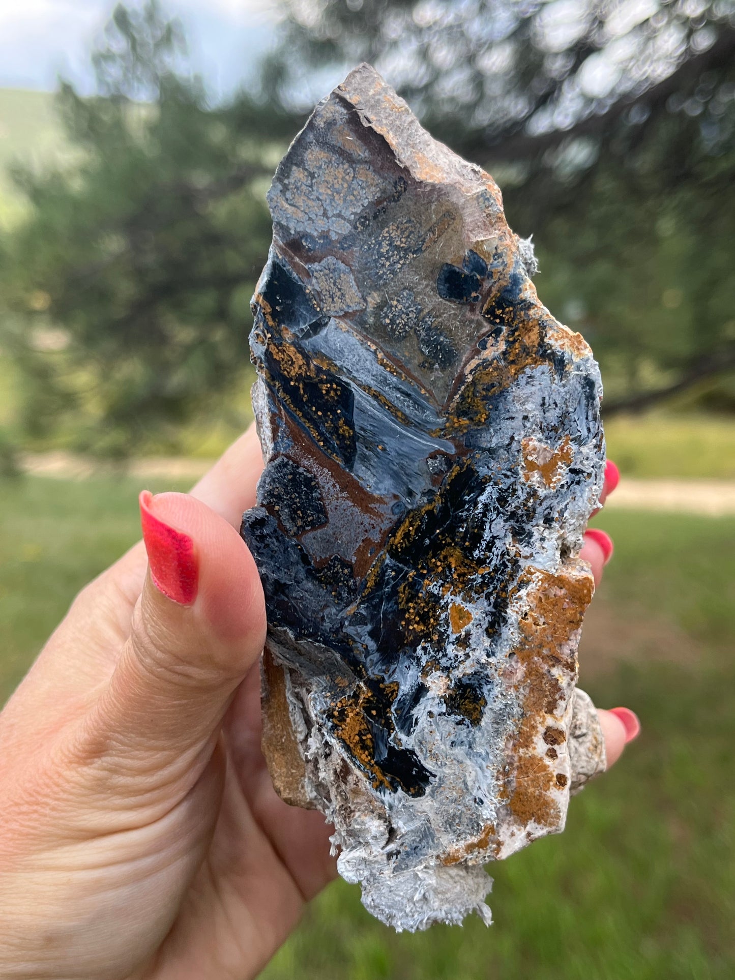 Pietersite Rough with semi polished face stone Lapidary Supplies