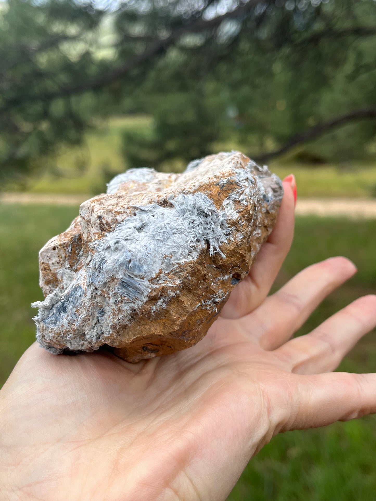 Pietersite Rough with semi polished face stone Lapidary Supplies