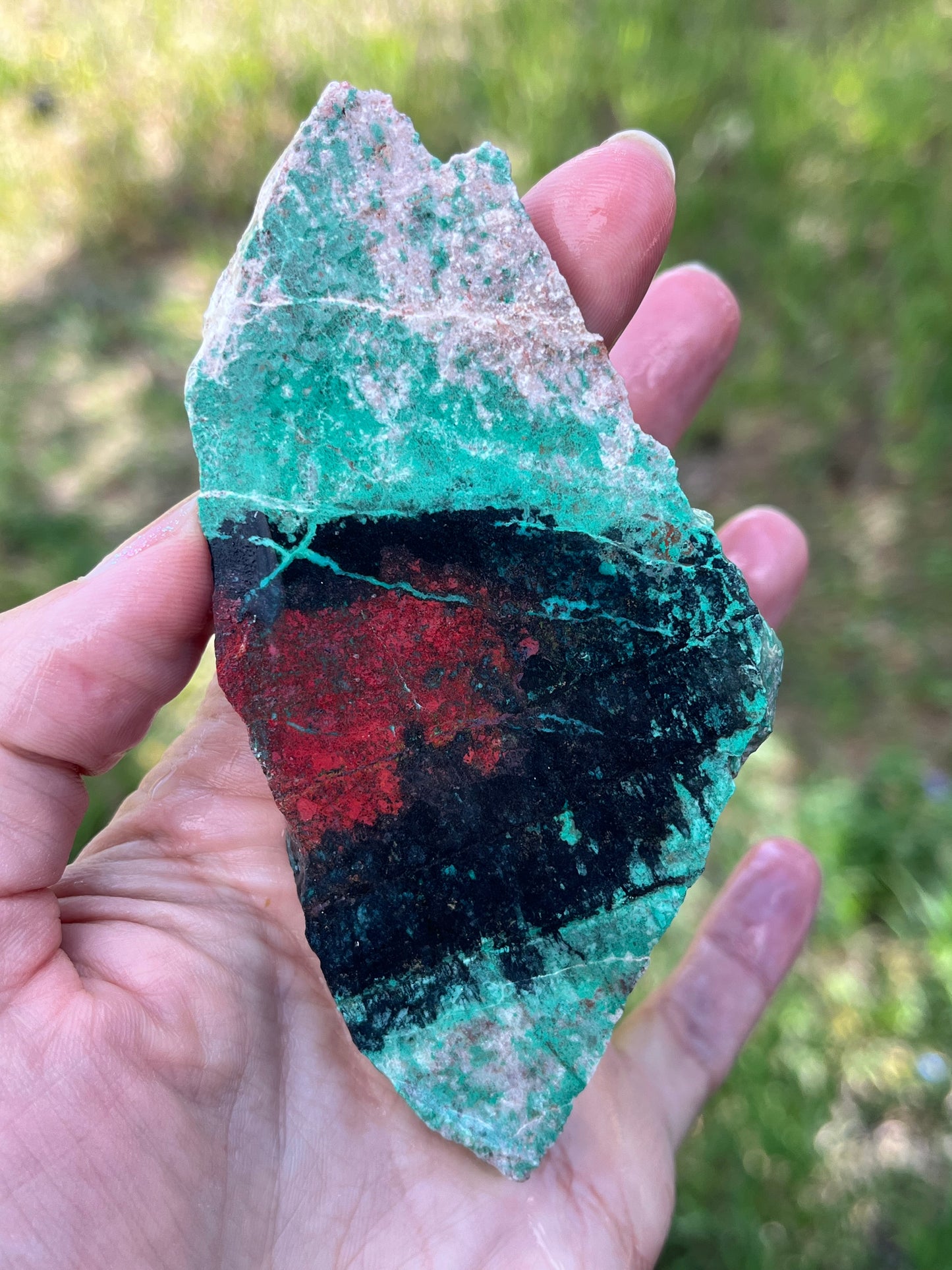 Sonora Sunset Sonora Sunrise Chrysocolla Lapidary slab Red and Green