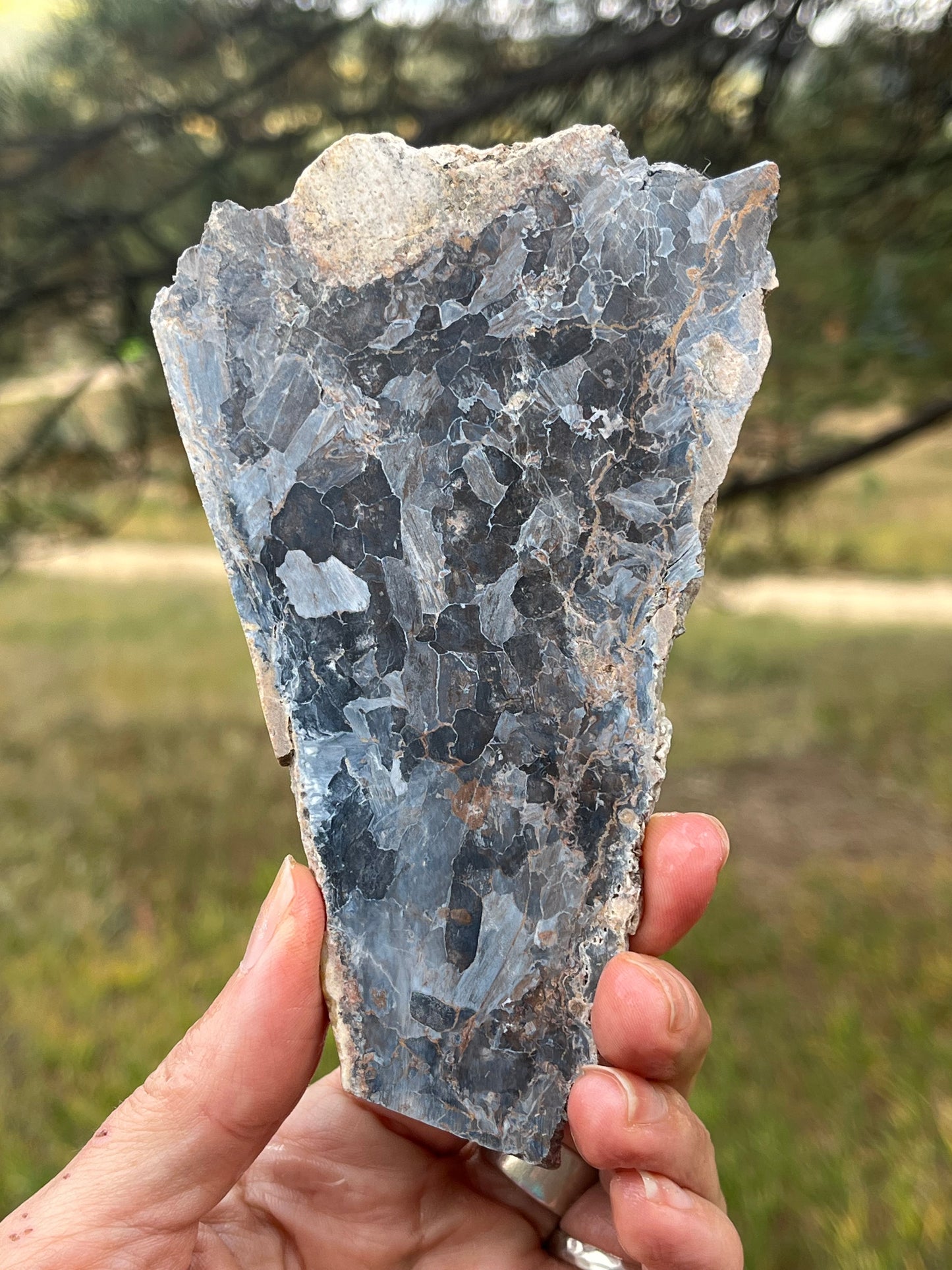 Pietersite Blue lapidary slab stone supplies