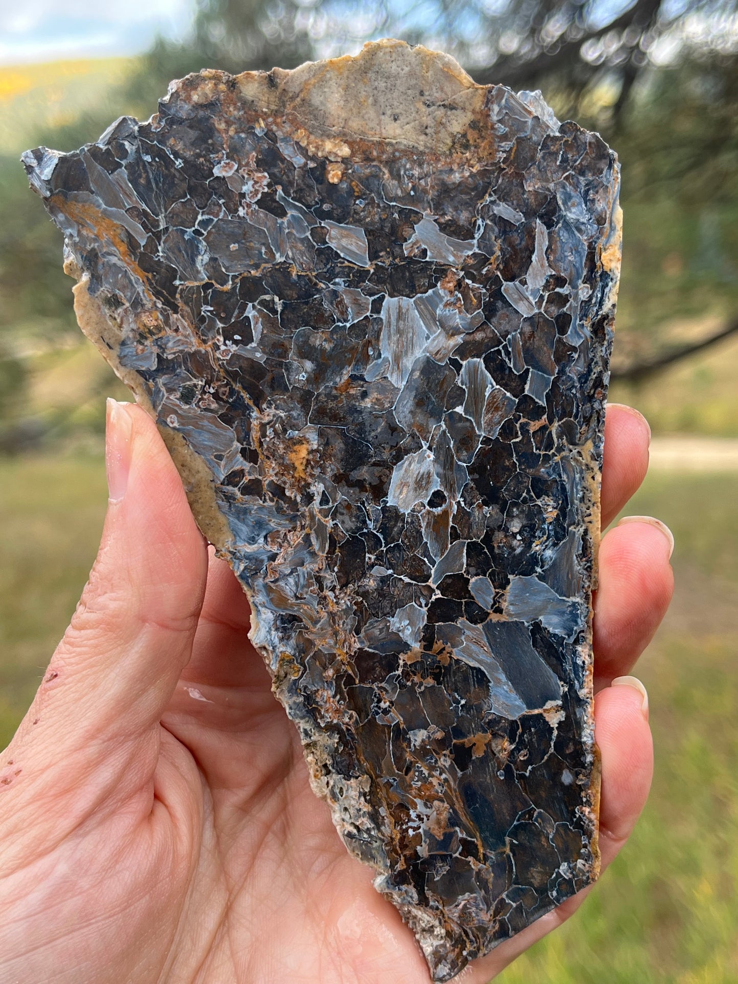 Pietersite Blue lapidary slab stone supplies