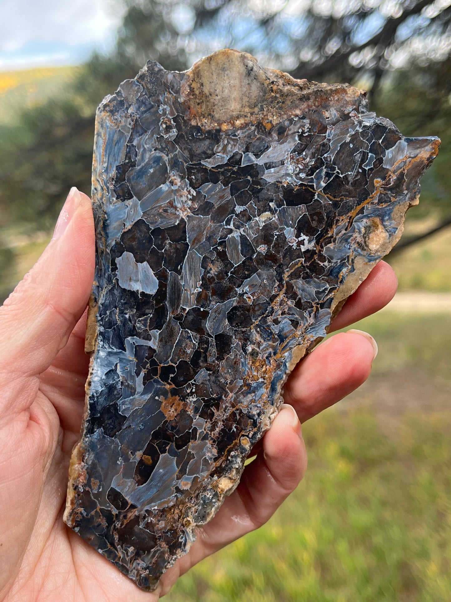 Pietersite Blue lapidary slab stone supplies