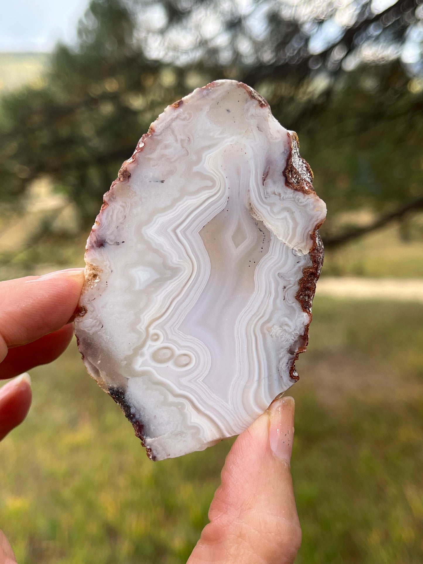 White Moroccan Banded Agate slab lapidary supplies stone