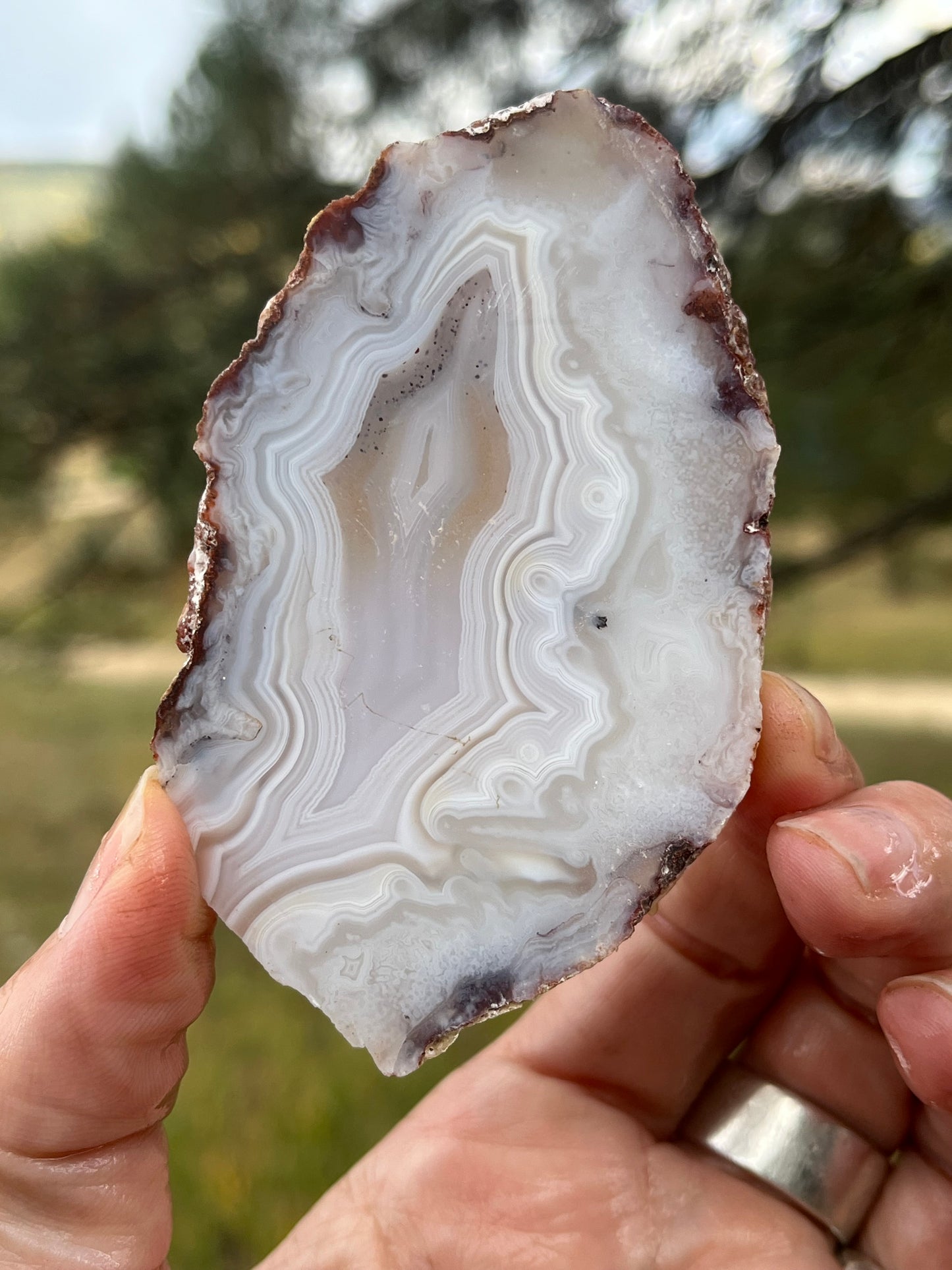 White Moroccan Banded Agate slab lapidary supplies stone