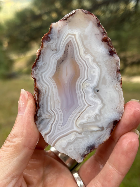 White Moroccan Banded Agate slab lapidary supplies stone