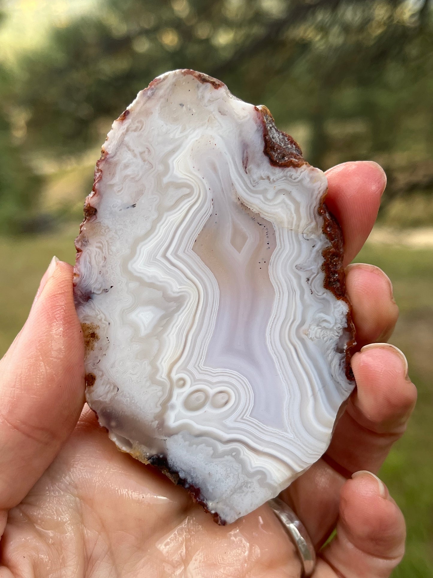 White Moroccan Banded Agate slab lapidary supplies stone