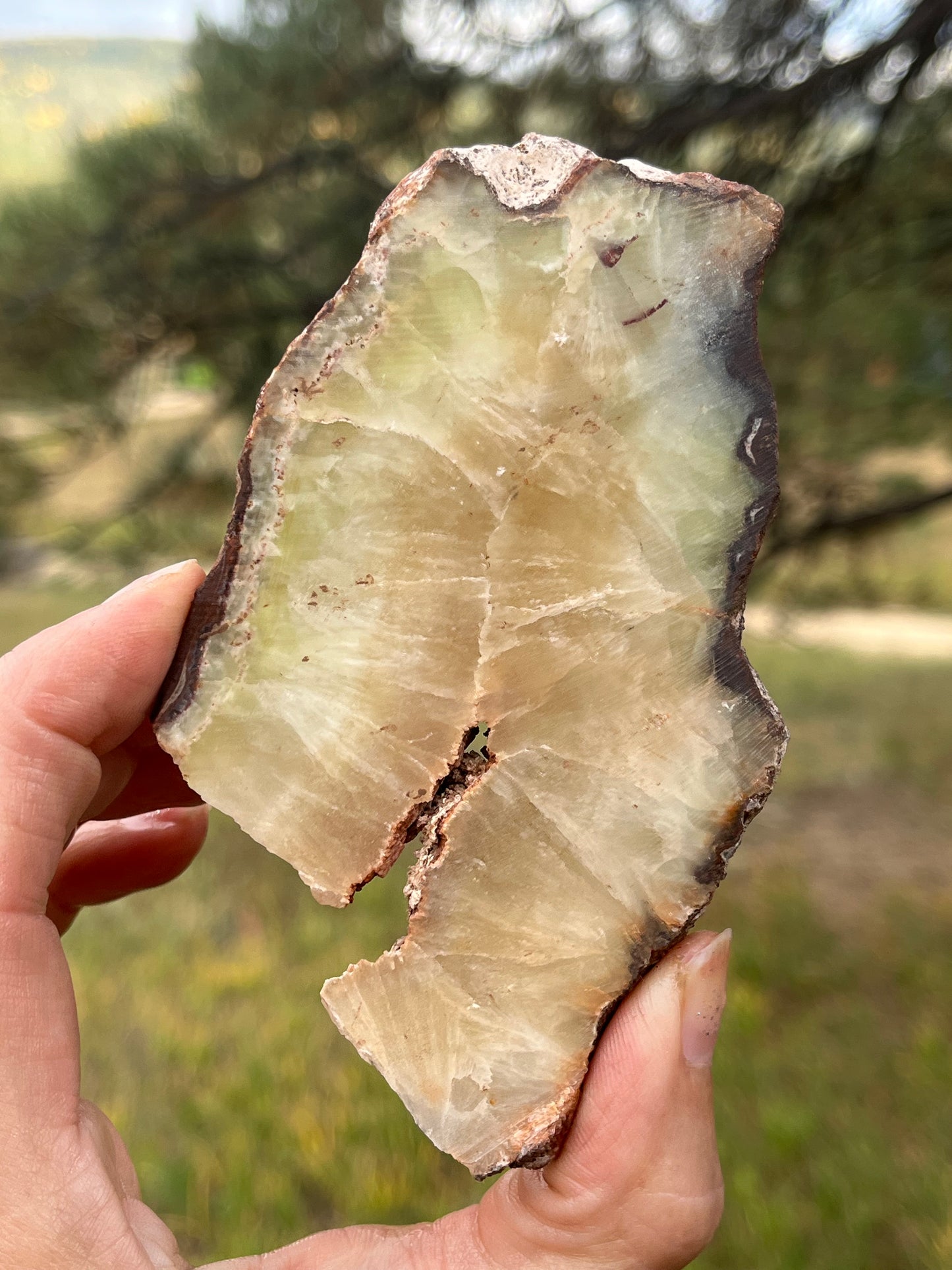 Prehnite Lapidary Slab stone for Lapidary Art