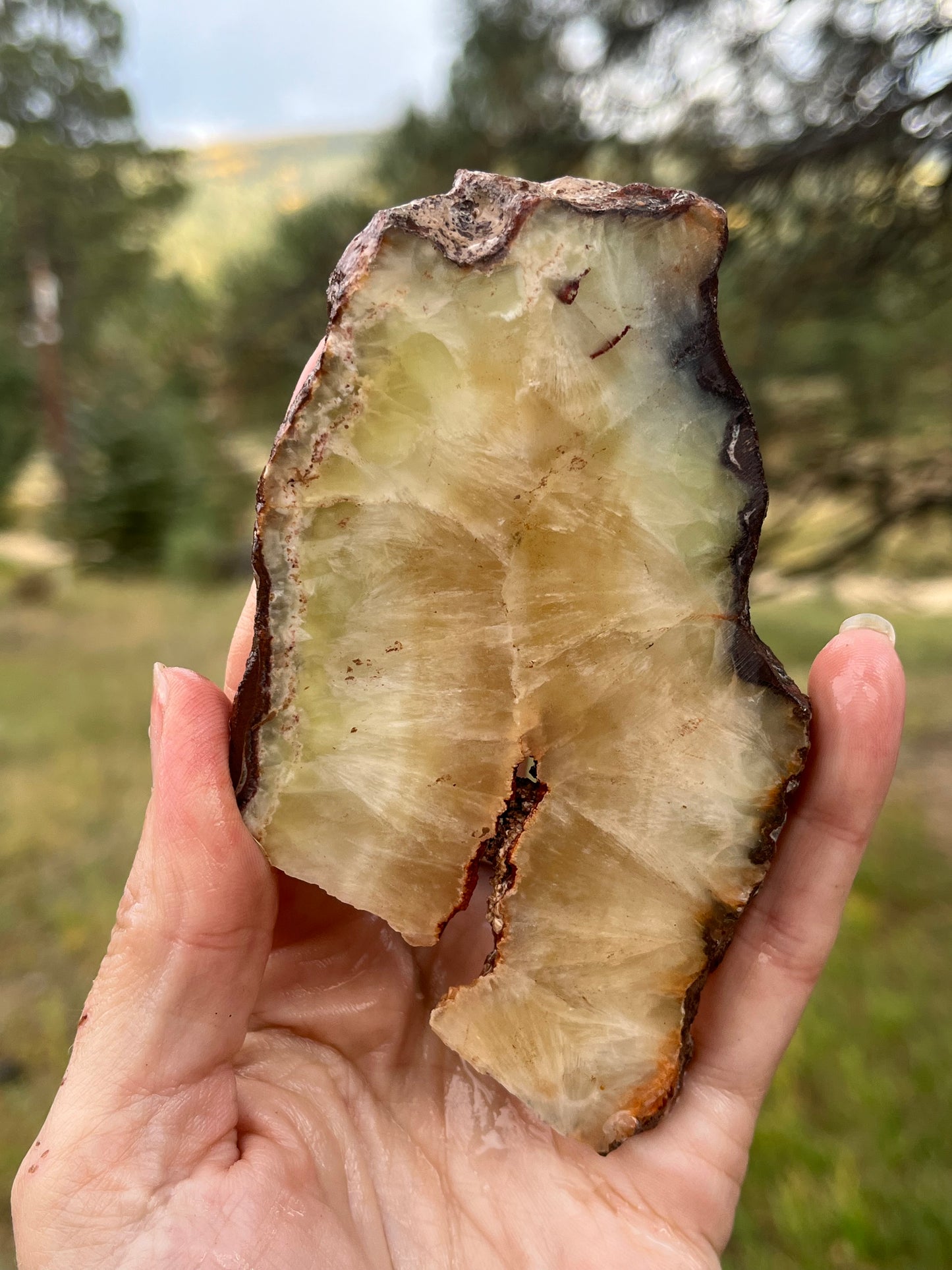 Prehnite Lapidary Slab stone for Lapidary Art