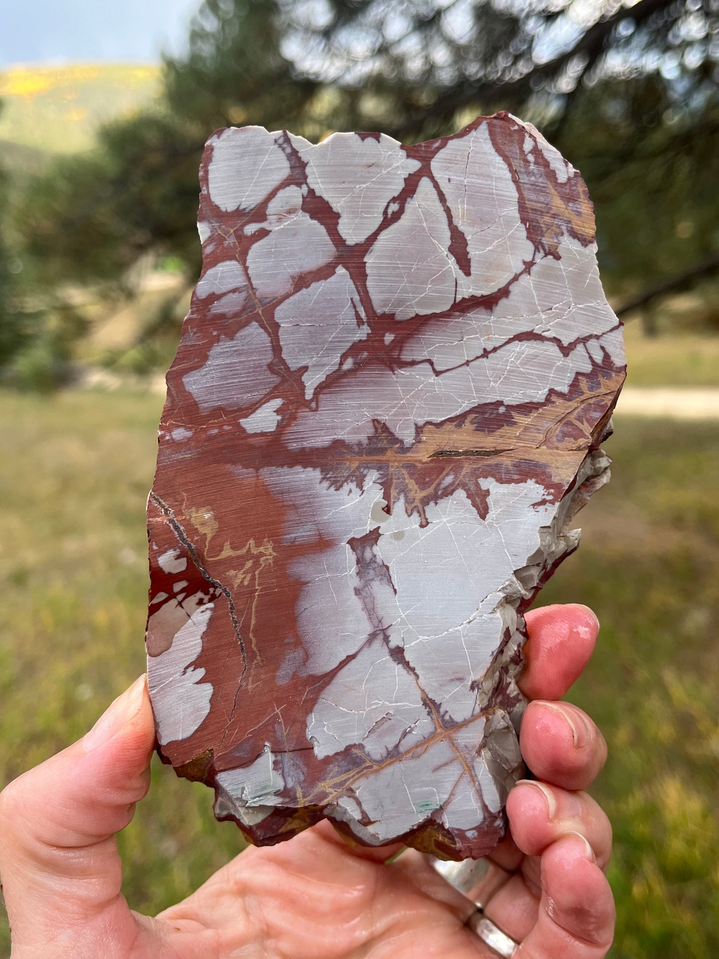 Noreena Jasper thick Lapidary Slab supplies stone