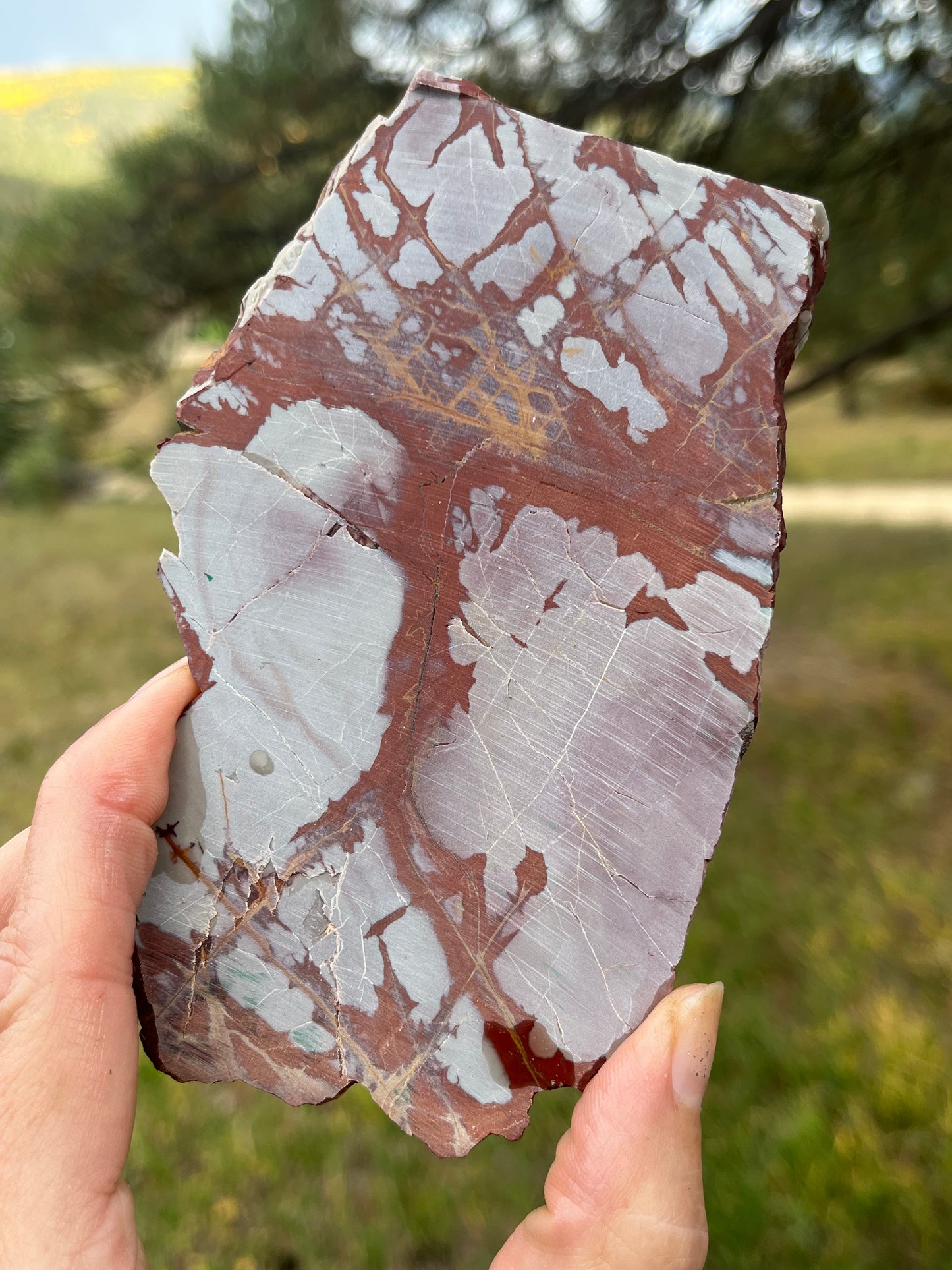 Noreena Jasper thick Lapidary Slab supplies stone