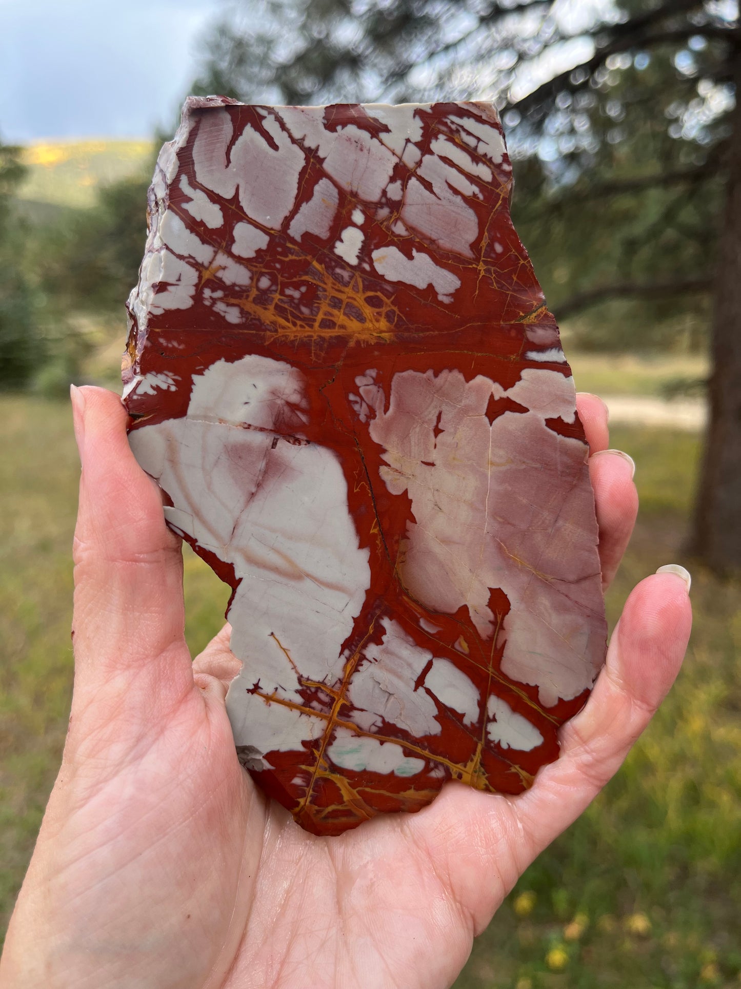 Noreena Jasper thick Lapidary Slab supplies stone