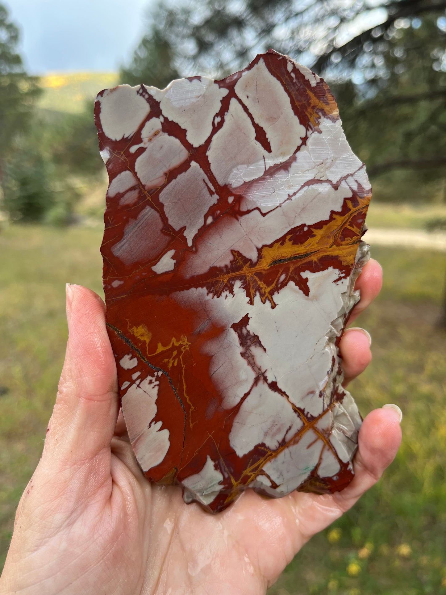 Noreena Jasper thick Lapidary Slab supplies stone