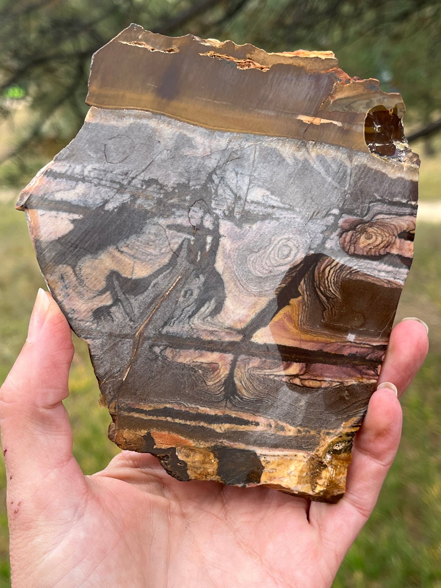 Andromeda Jasper Lapidary Slab stone supplies