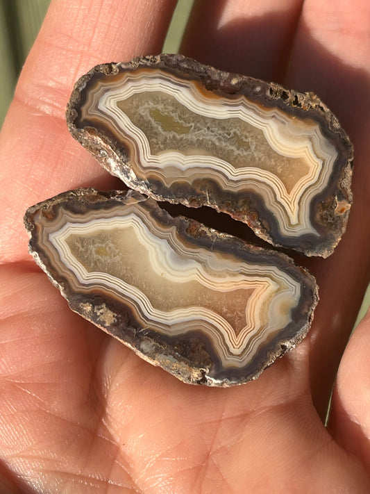 Polished Baby Alimajo Agate Specimen matched pair