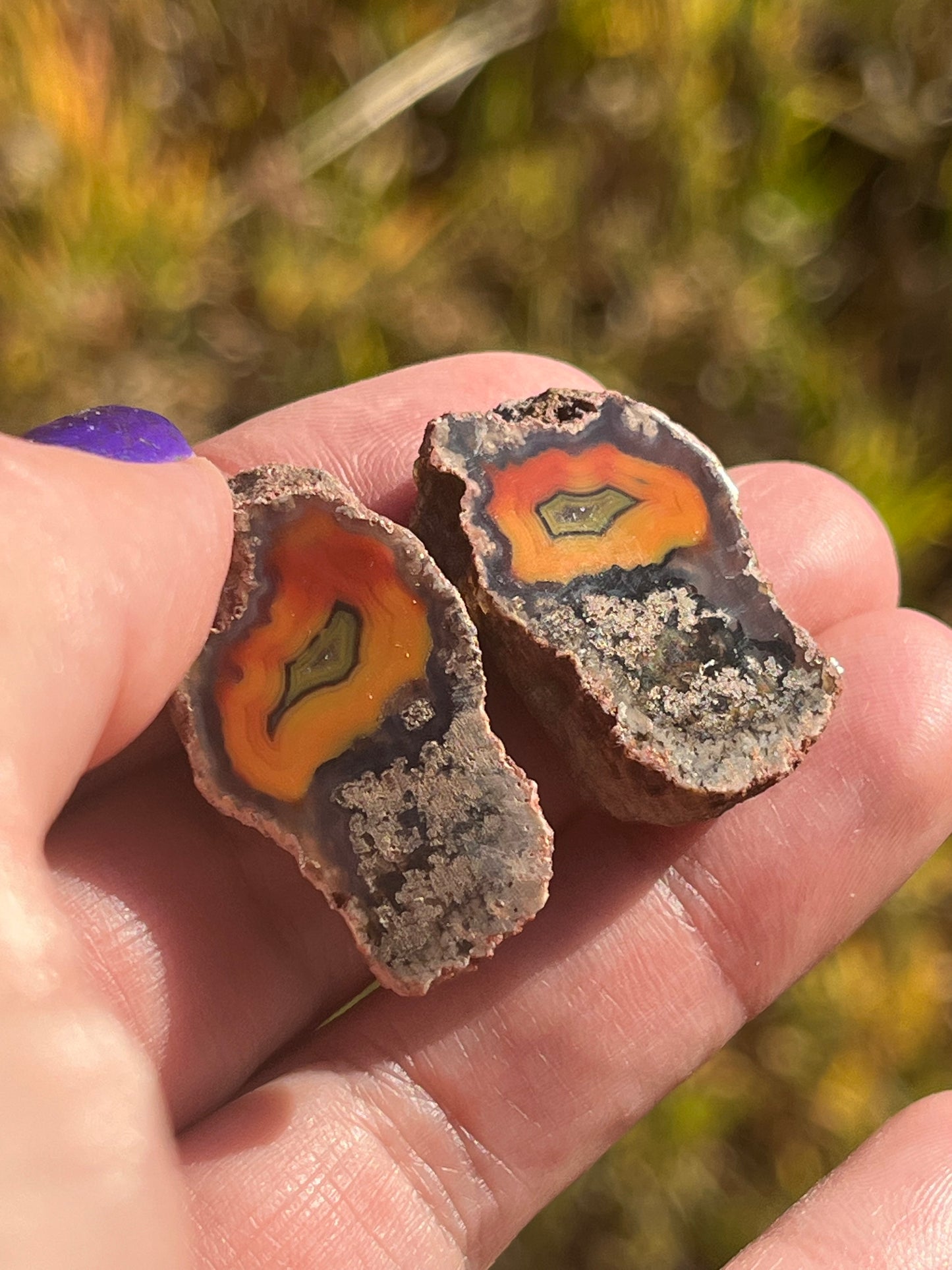 Baby Alimajo Agate Polished matched pair