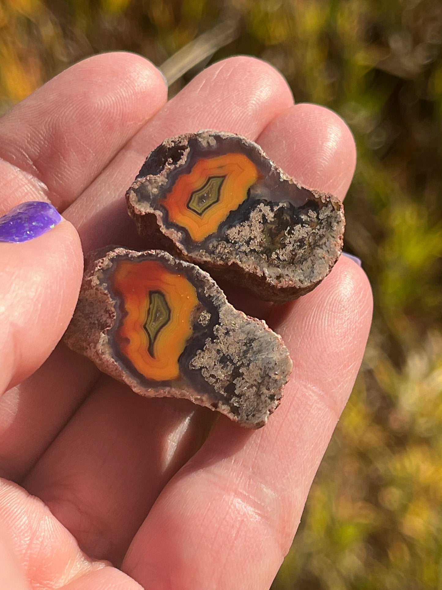 Baby Alimajo Agate Polished matched pair