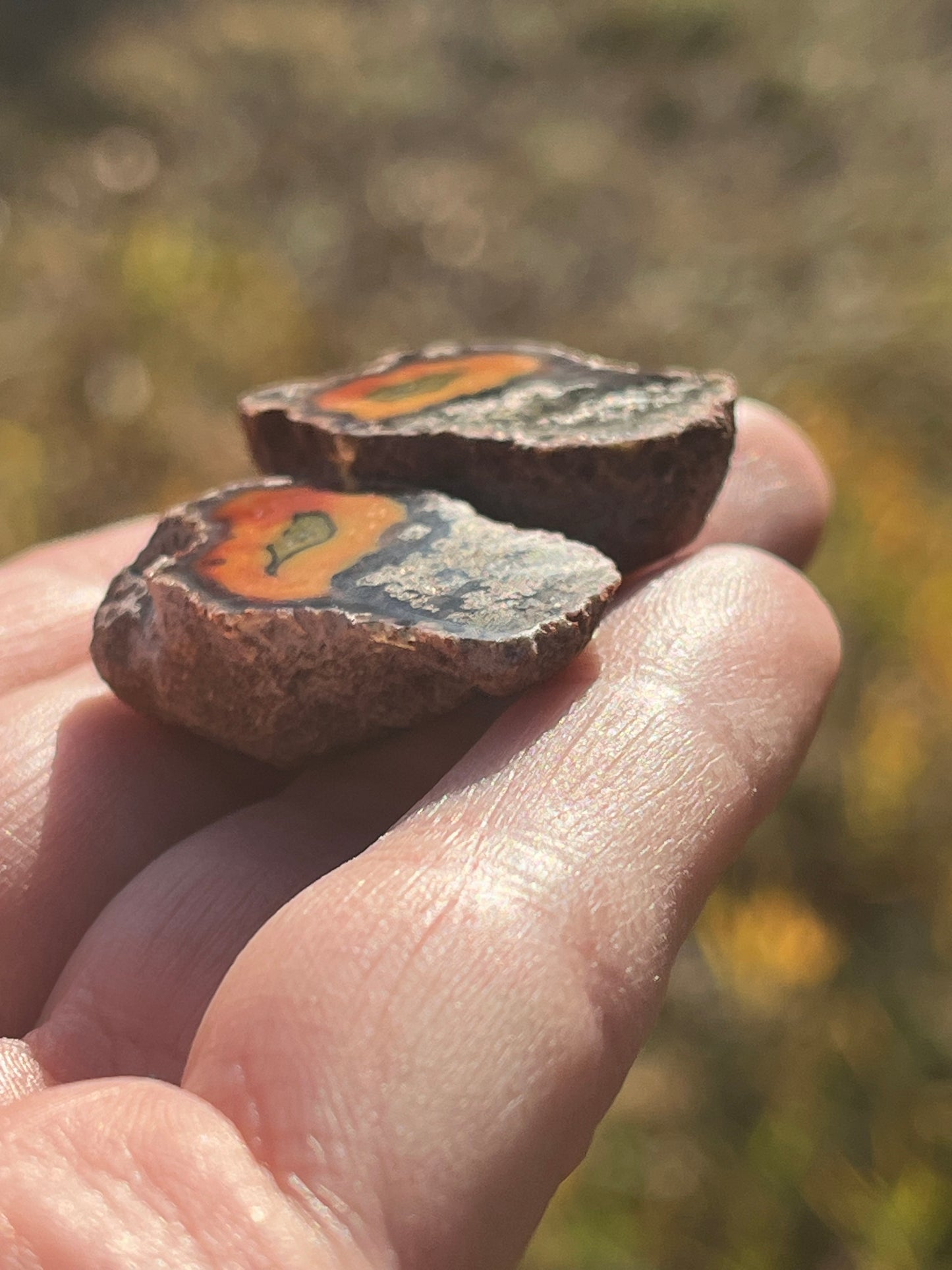 Baby Alimajo Agate Polished matched pair