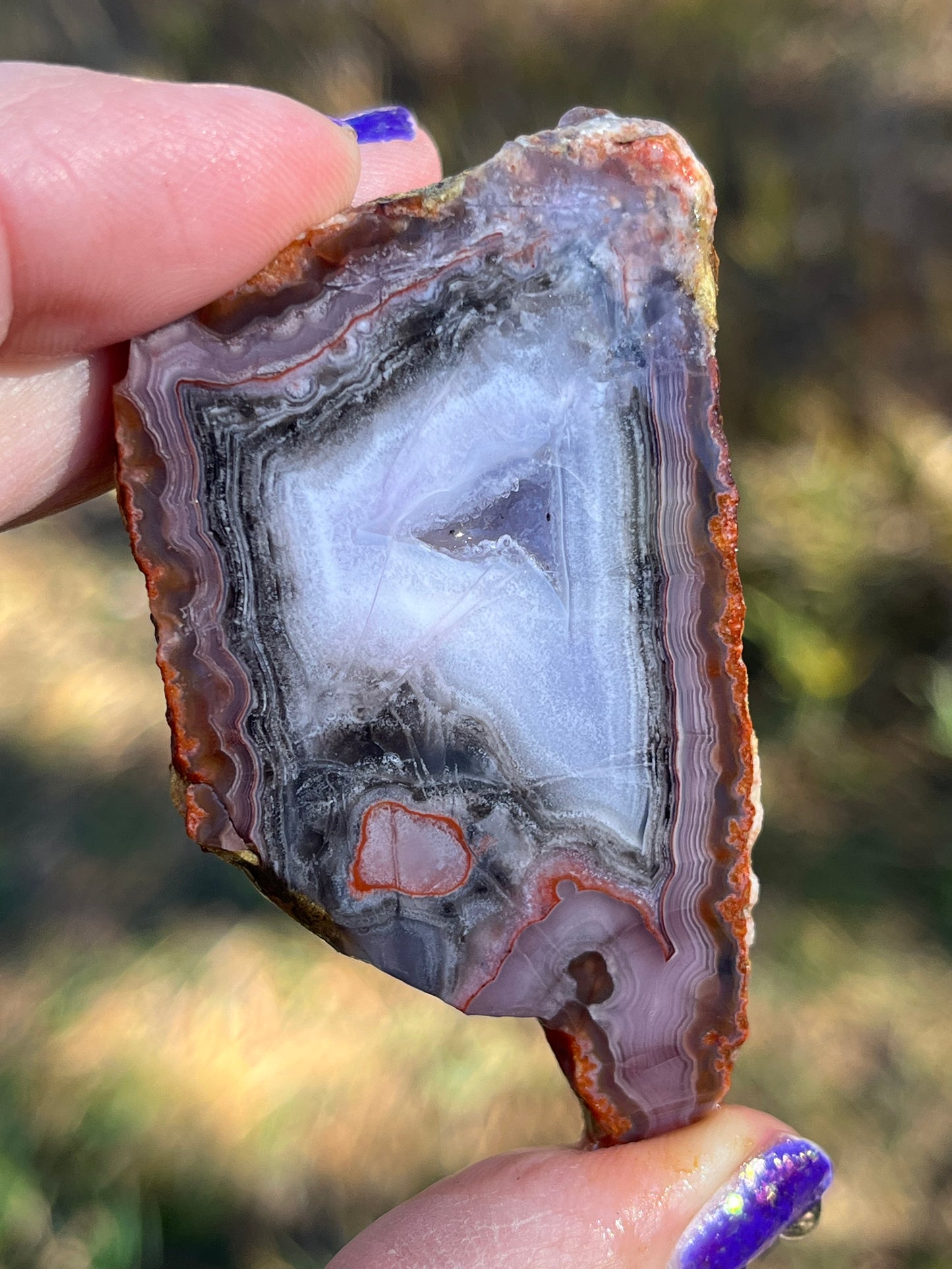 Purple Passion Agate Mexico Lapidary Slab rare