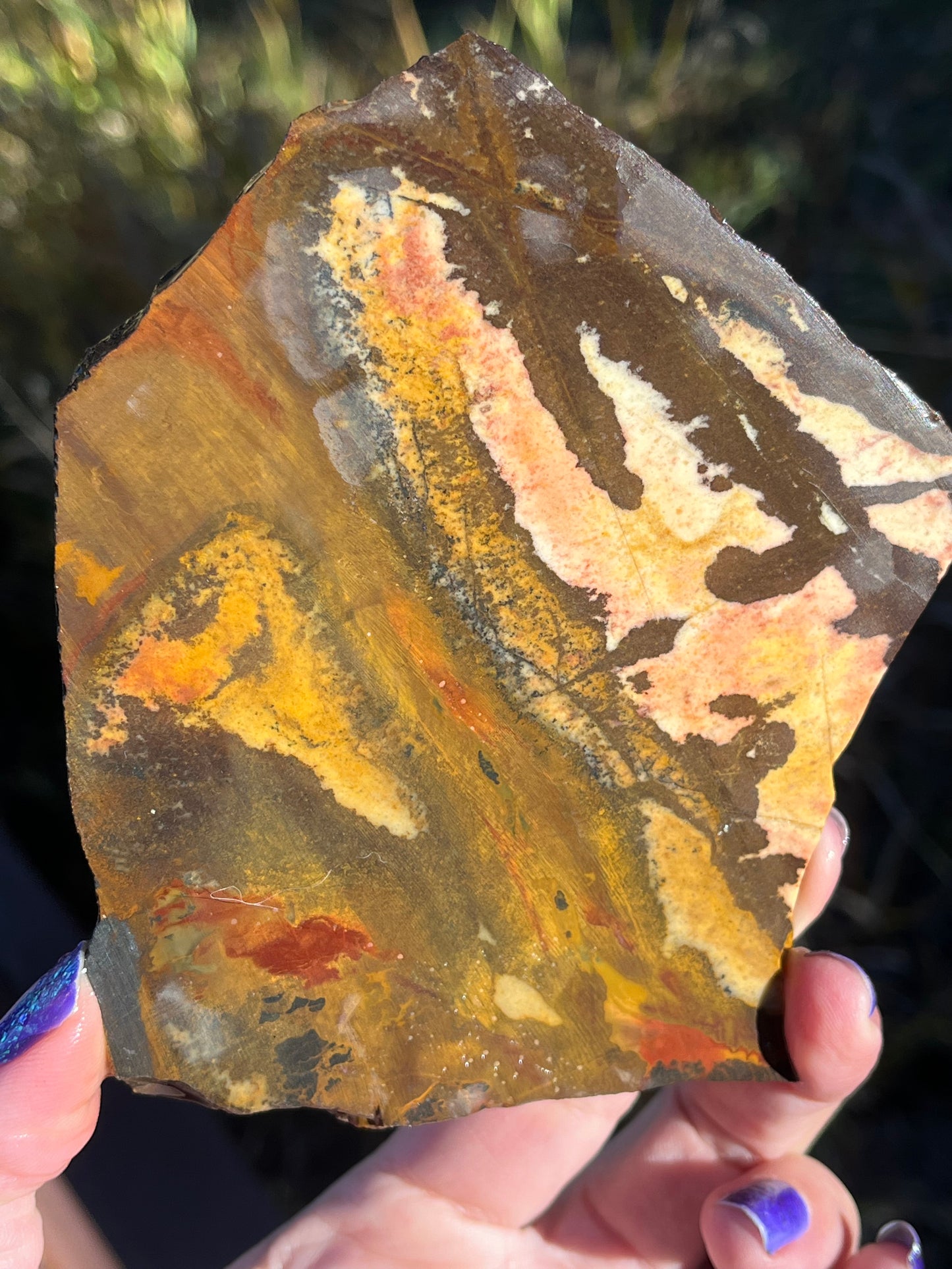 Andromeda Jasper Lapidary Slab stone supplies