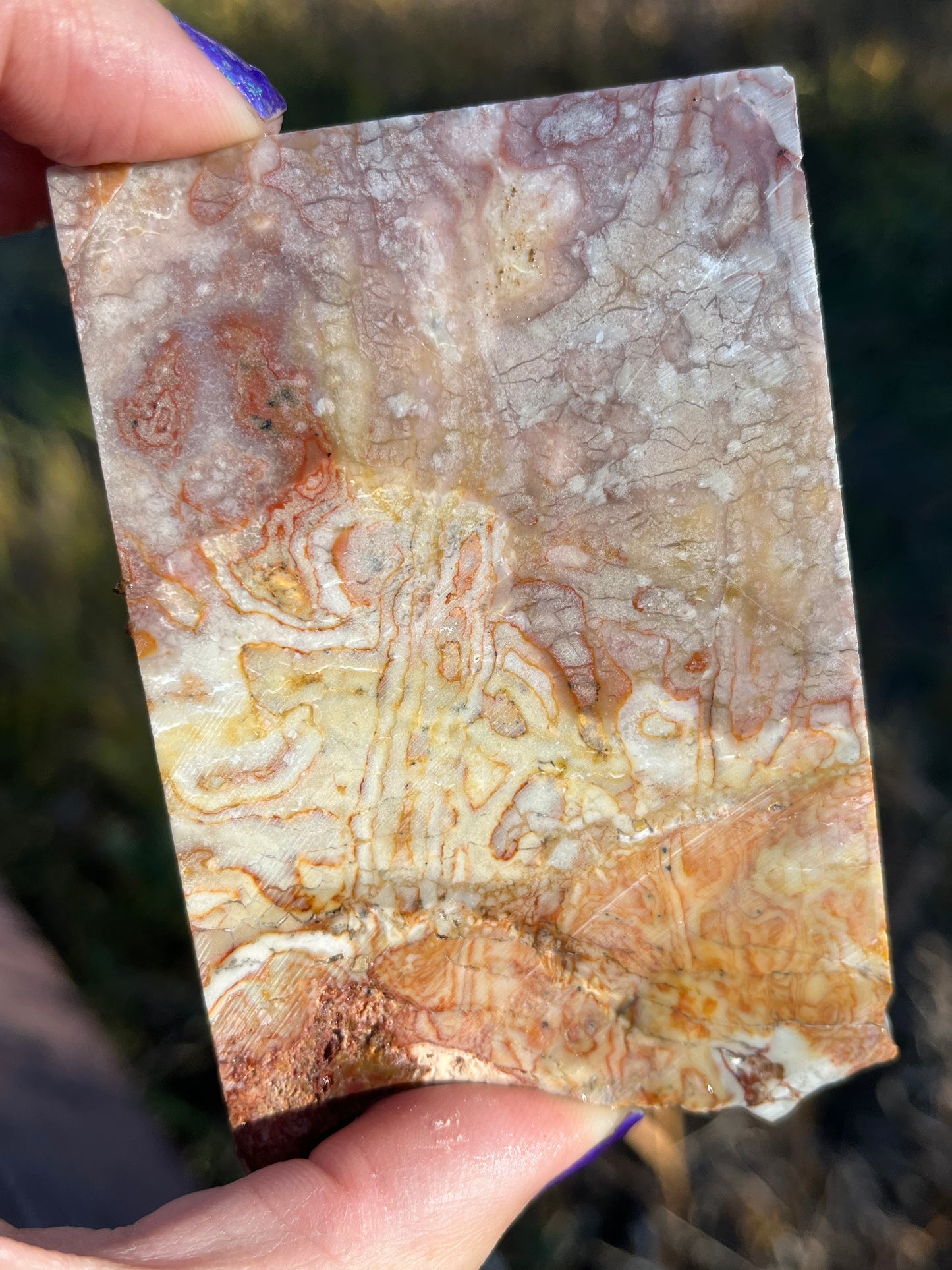 Turkish Delight Agate Lapidary Slab supplies