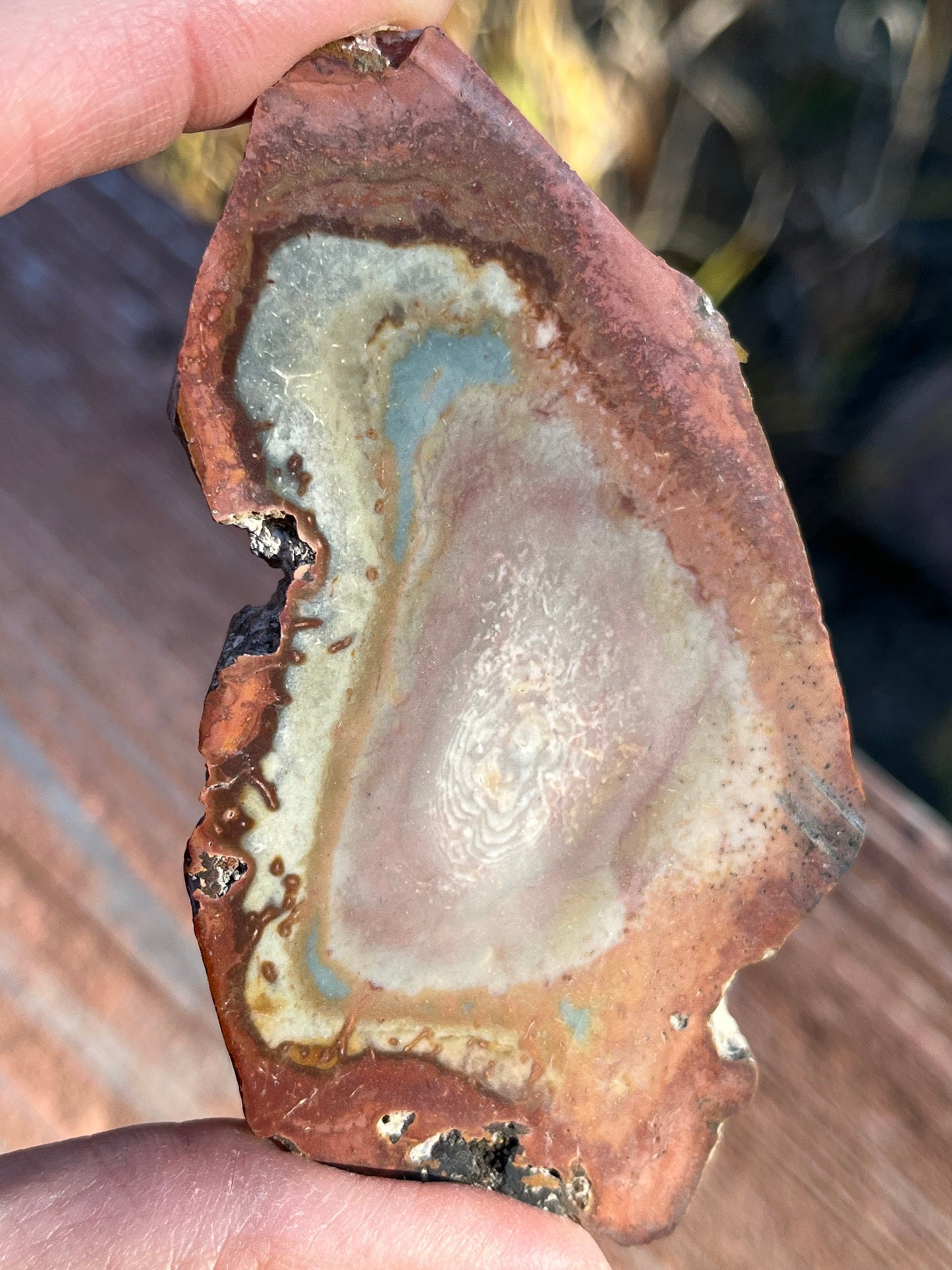 Polychrome Jasper Lapidary Slab multi colored