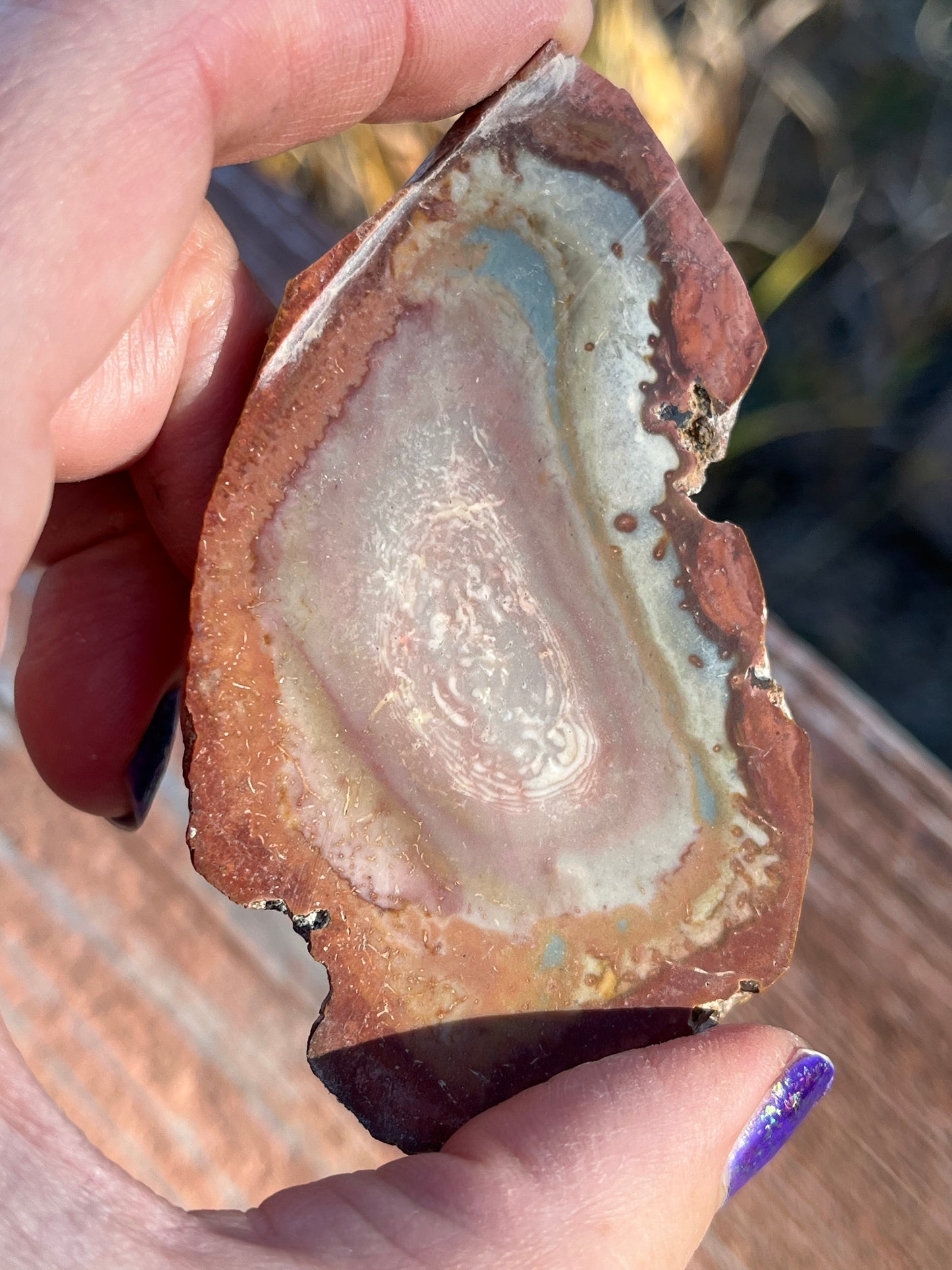 Polychrome Jasper Lapidary Slab multi colored