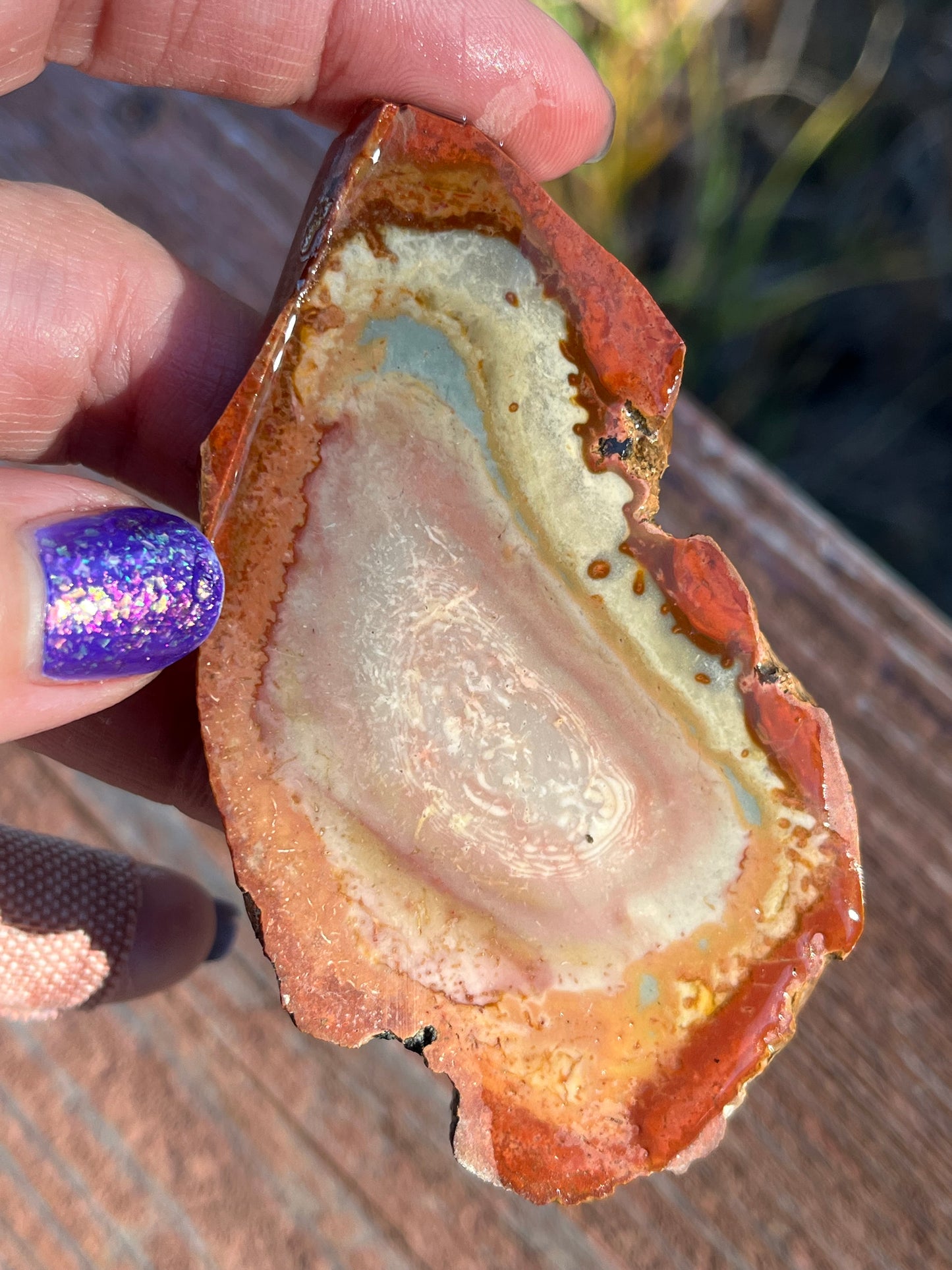 Polychrome Jasper Lapidary Slab multi colored