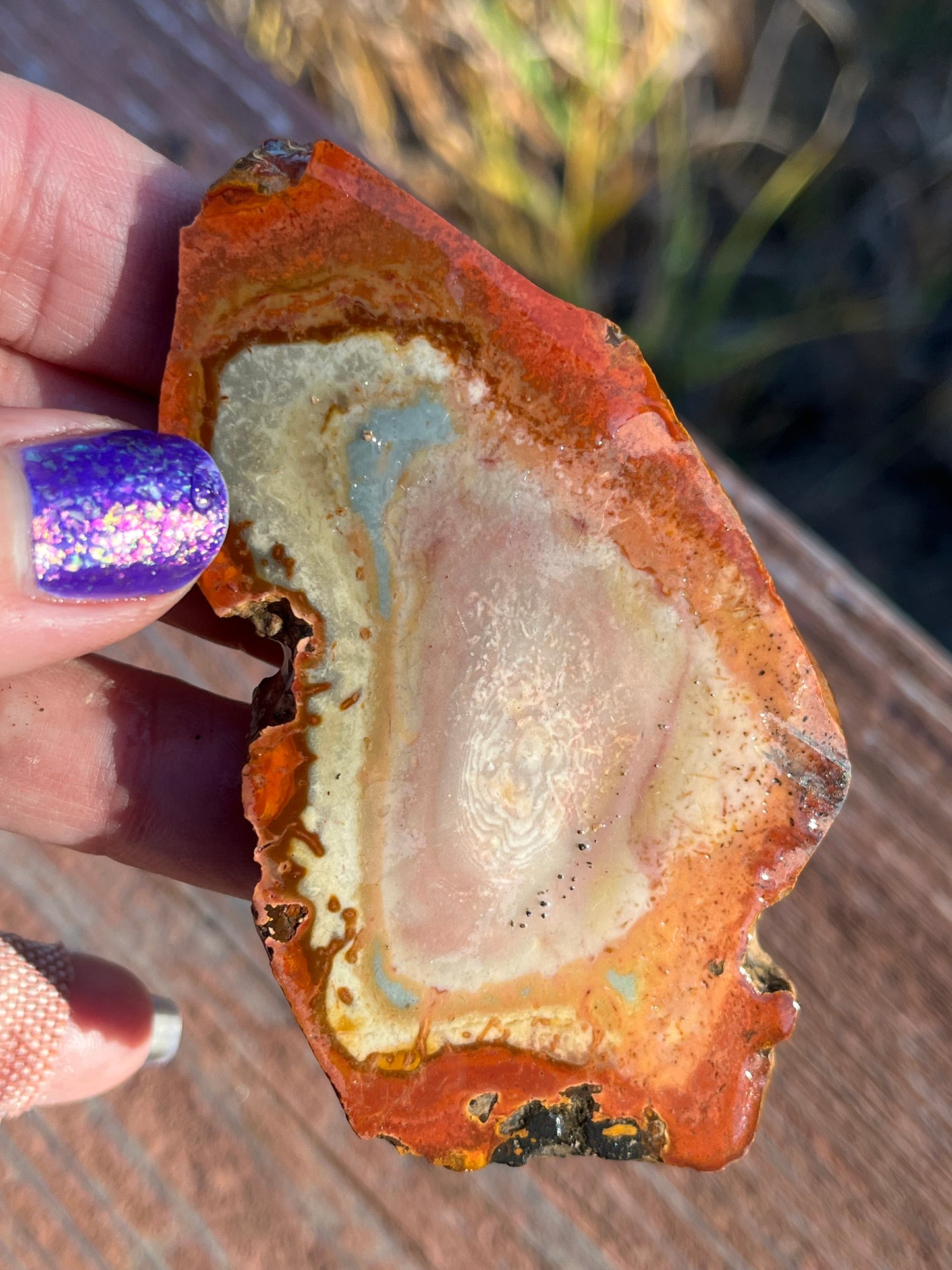 Polychrome Jasper Lapidary Slab multi colored