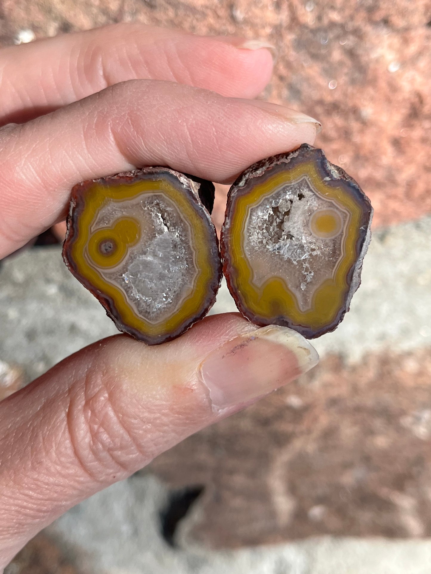 Alimajo Agate Polished Nodule matched pair