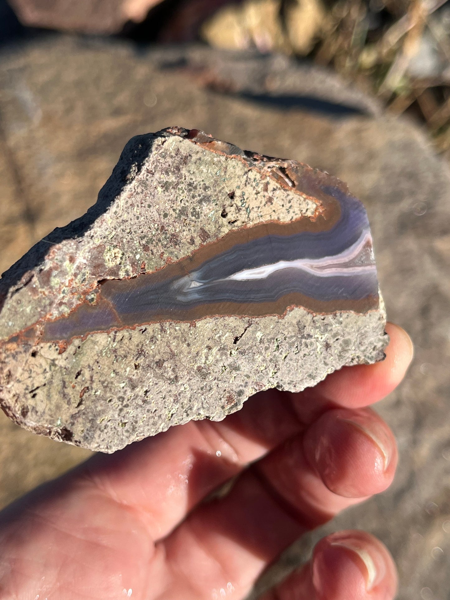 Purple Passion Agate Mexico Lapidary Slab rare