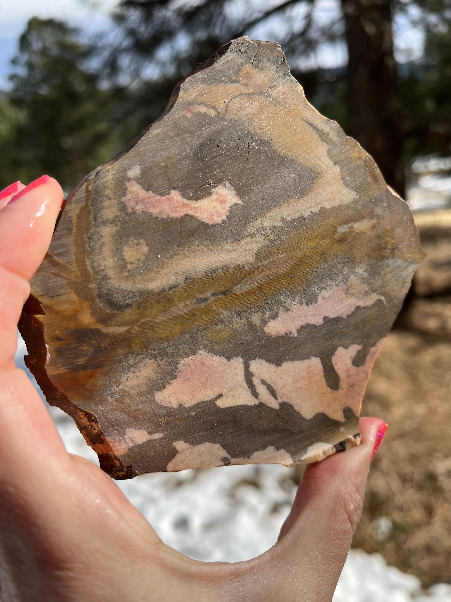 Andromeda Jasper Lapidary Slab stone supplies