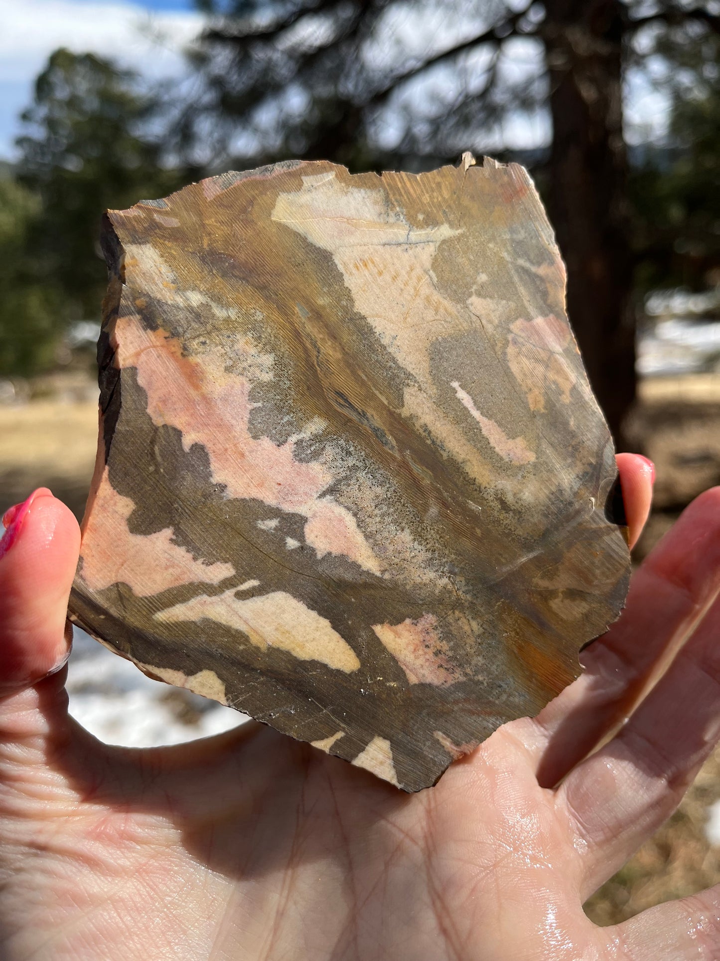 Andromeda Jasper Lapidary Slab stone supplies