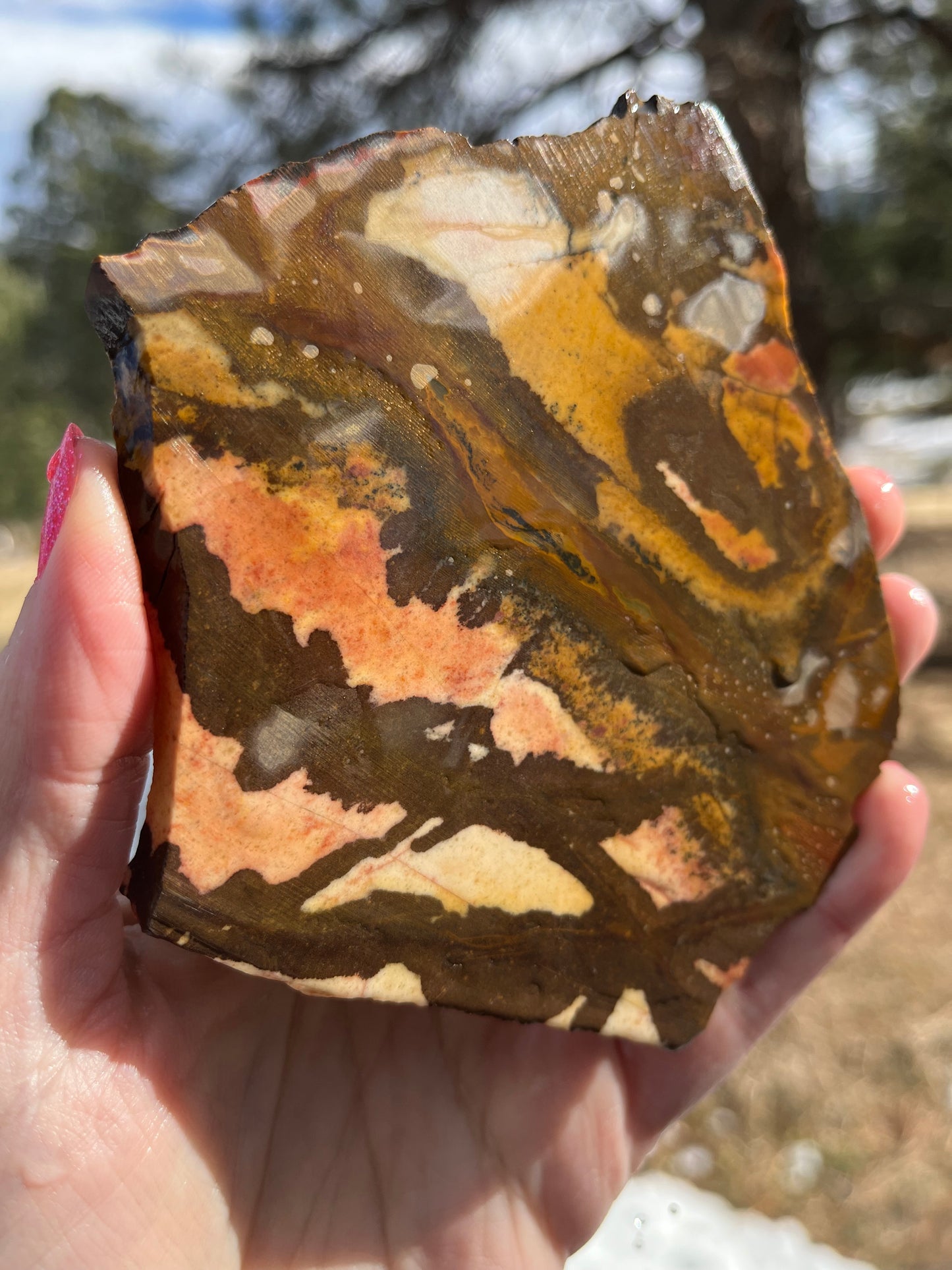 Andromeda Jasper Lapidary Slab stone supplies