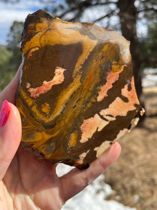 Andromeda Jasper Lapidary Slab stone supplies