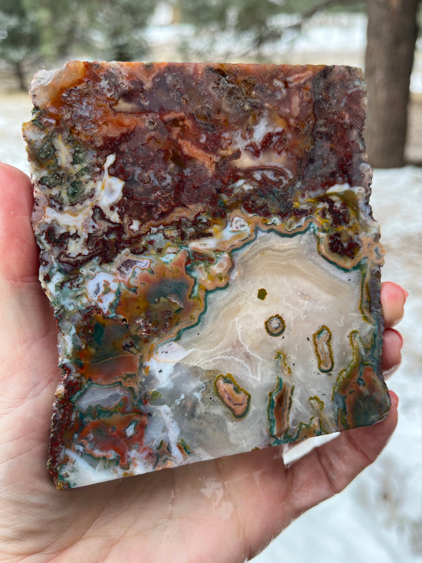 Moroccan agate slab drusy and green moss lapidary supplies