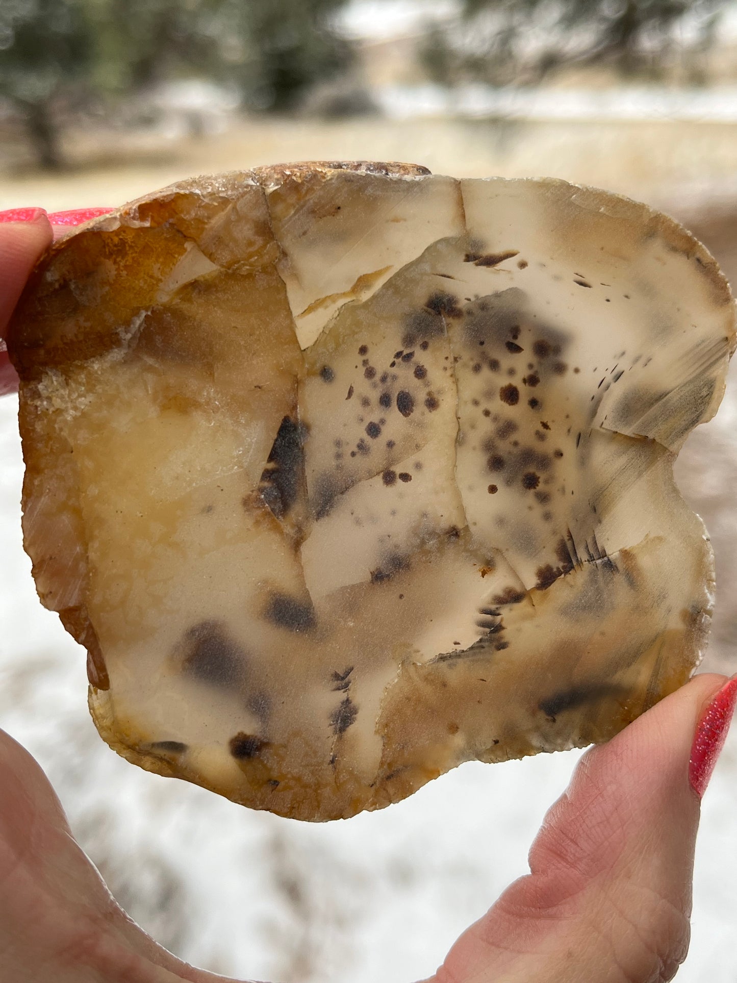 Montana Agate lapidary slab stone supplies