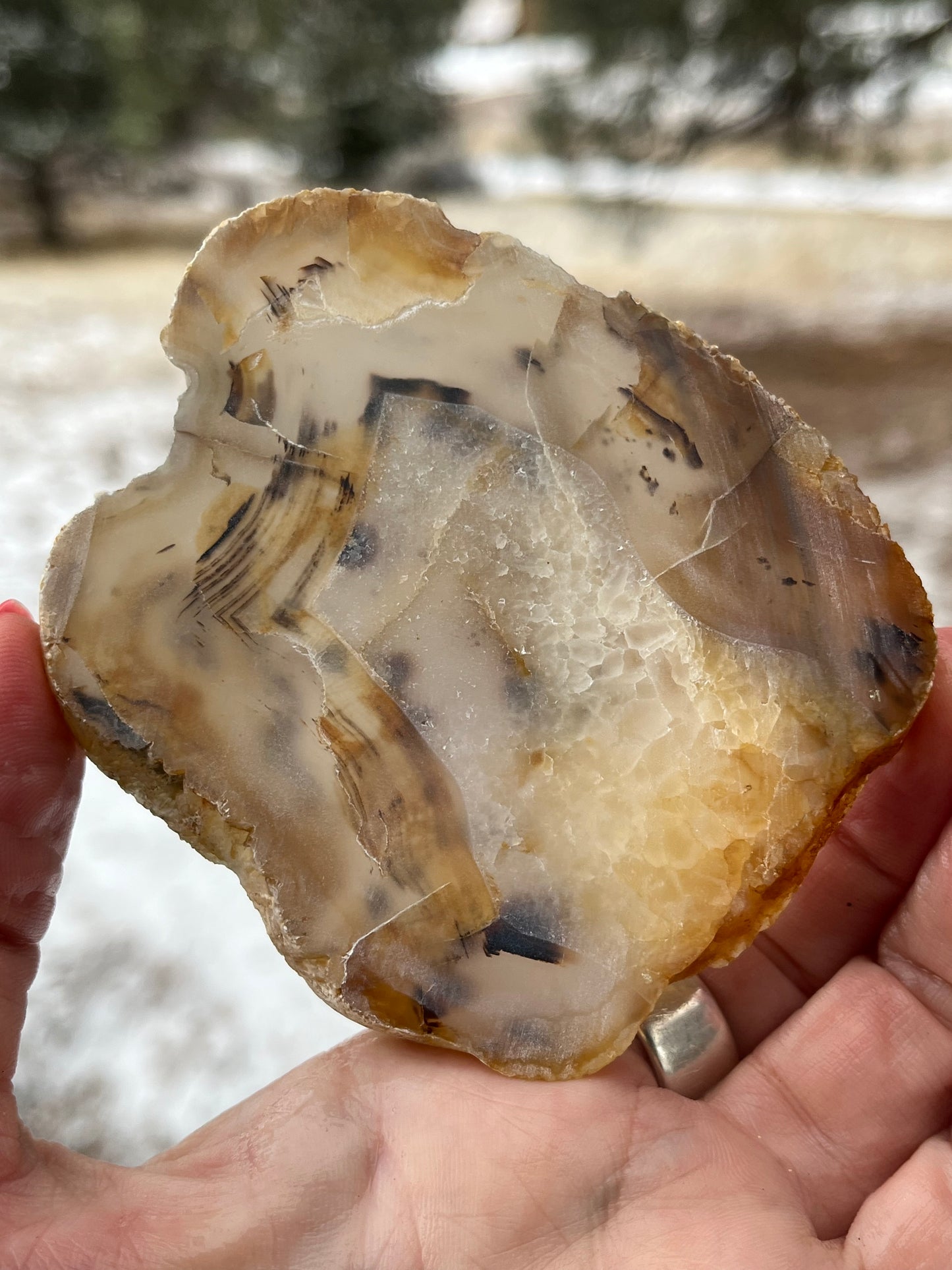 Montana Agate lapidary slab stone supplies