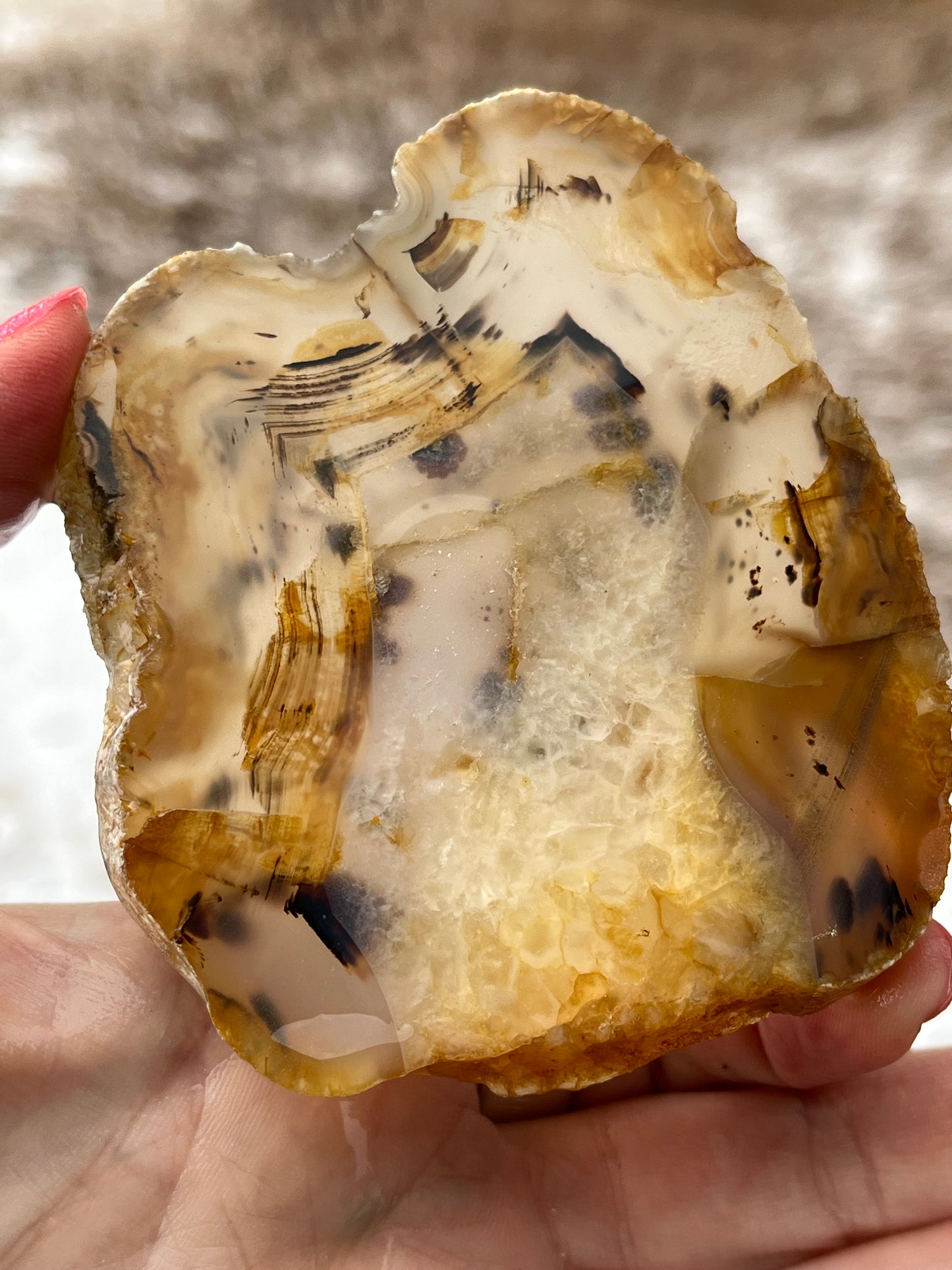 Montana Agate lapidary slab stone supplies