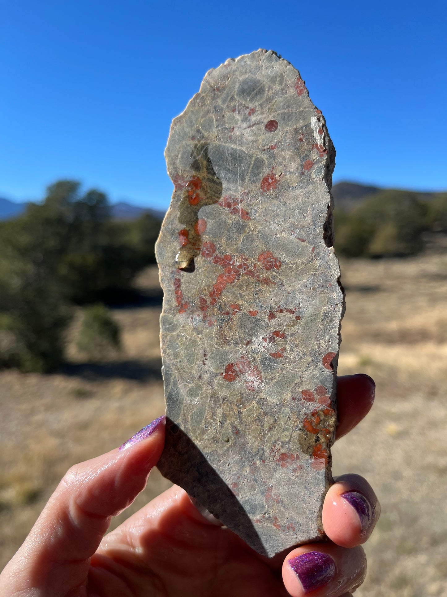 Stabilized Peanut Obsidian Lapidary slab stone supplies