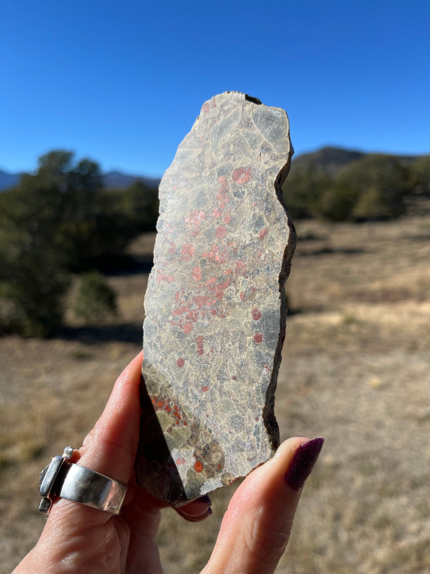 Stabilized Peanut Obsidian Lapidary slab stone supplies