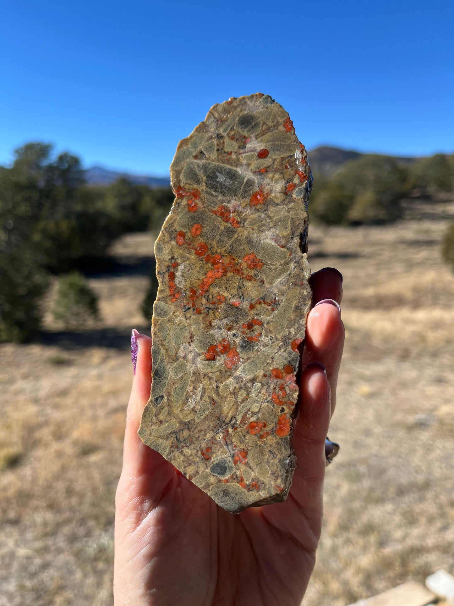 Stabilized Peanut Obsidian Lapidary slab stone supplies