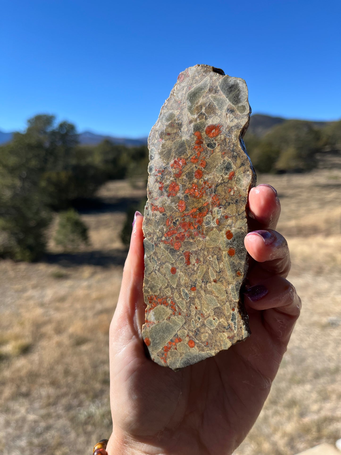 Stabilized Peanut Obsidian Lapidary slab stone supplies