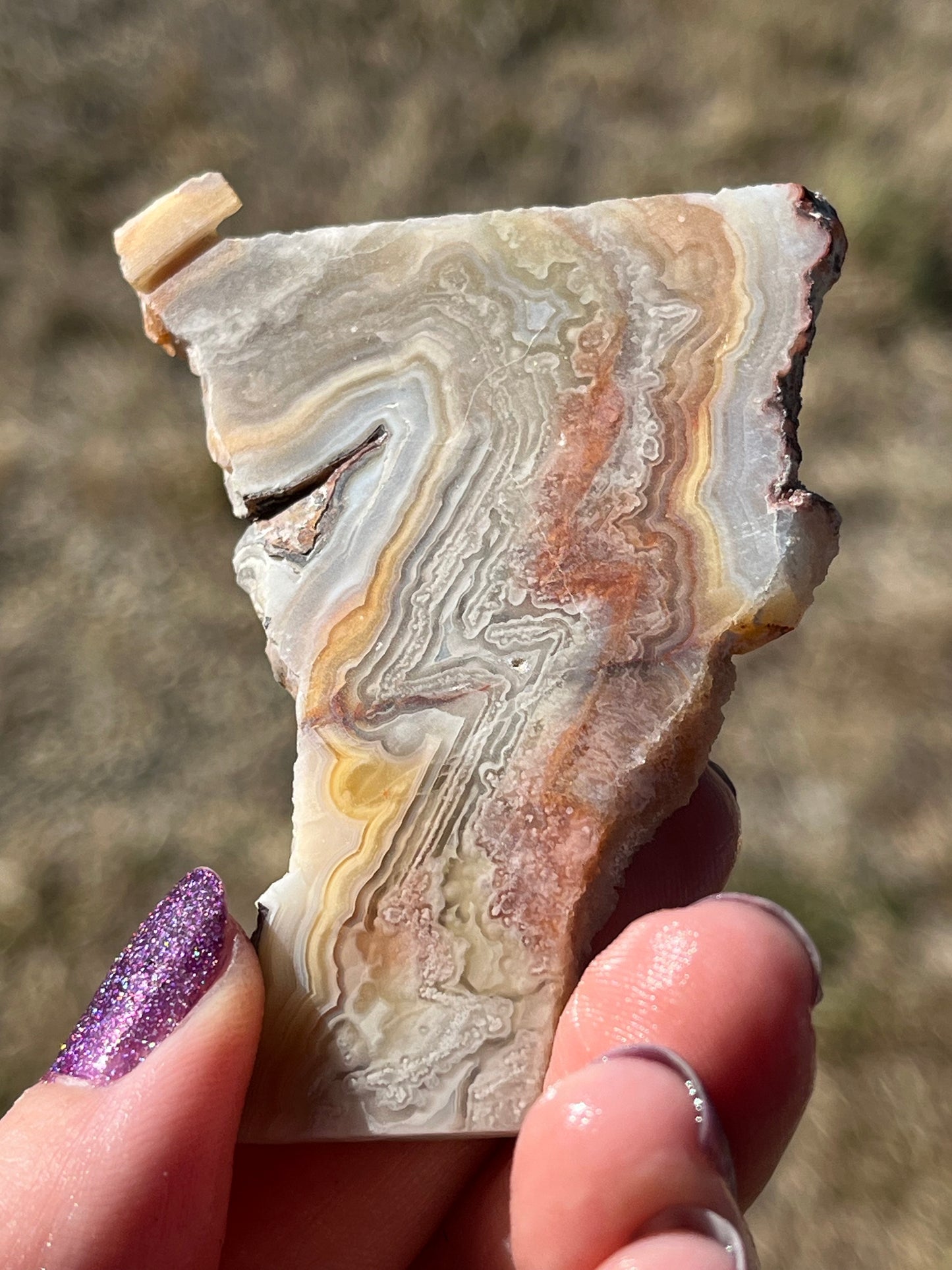 Mexican Crazy Lace agate lapidary slab stone supplies