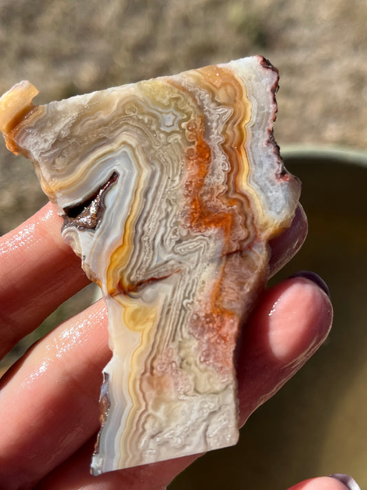 Mexican Crazy Lace agate lapidary slab stone supplies