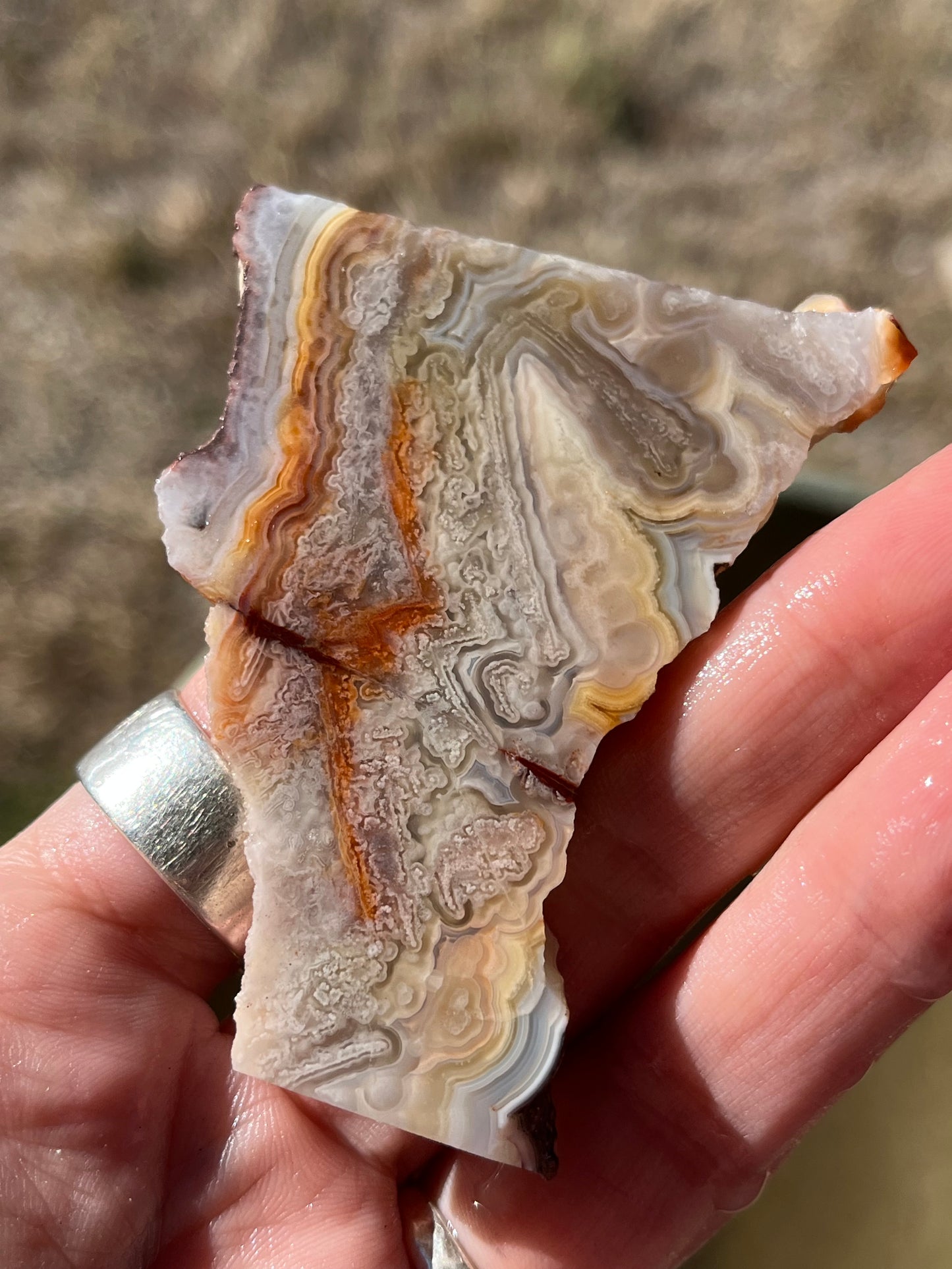 Mexican Crazy Lace agate lapidary slab stone supplies