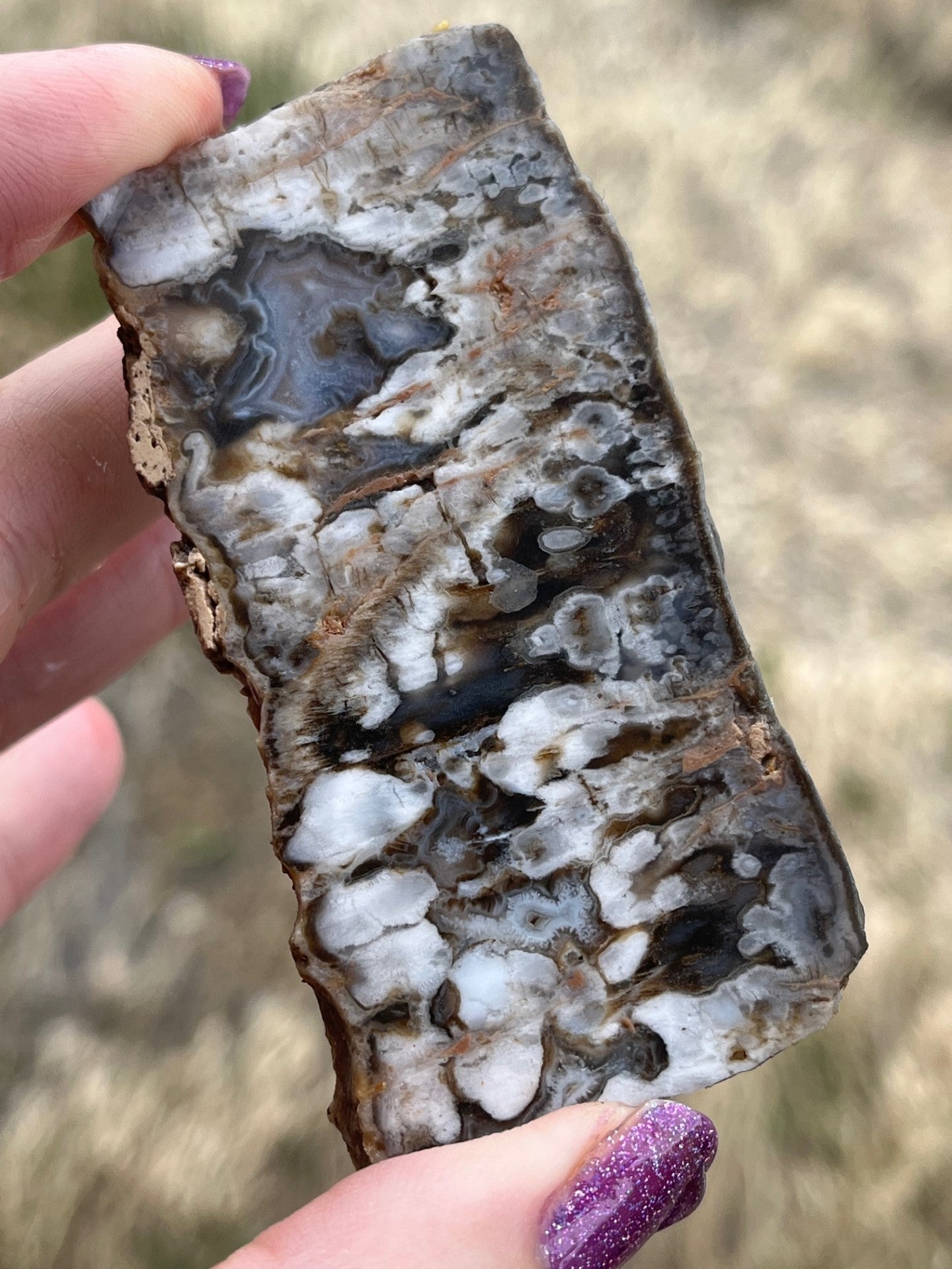 Texas plum agate lapidary slab supplies stone