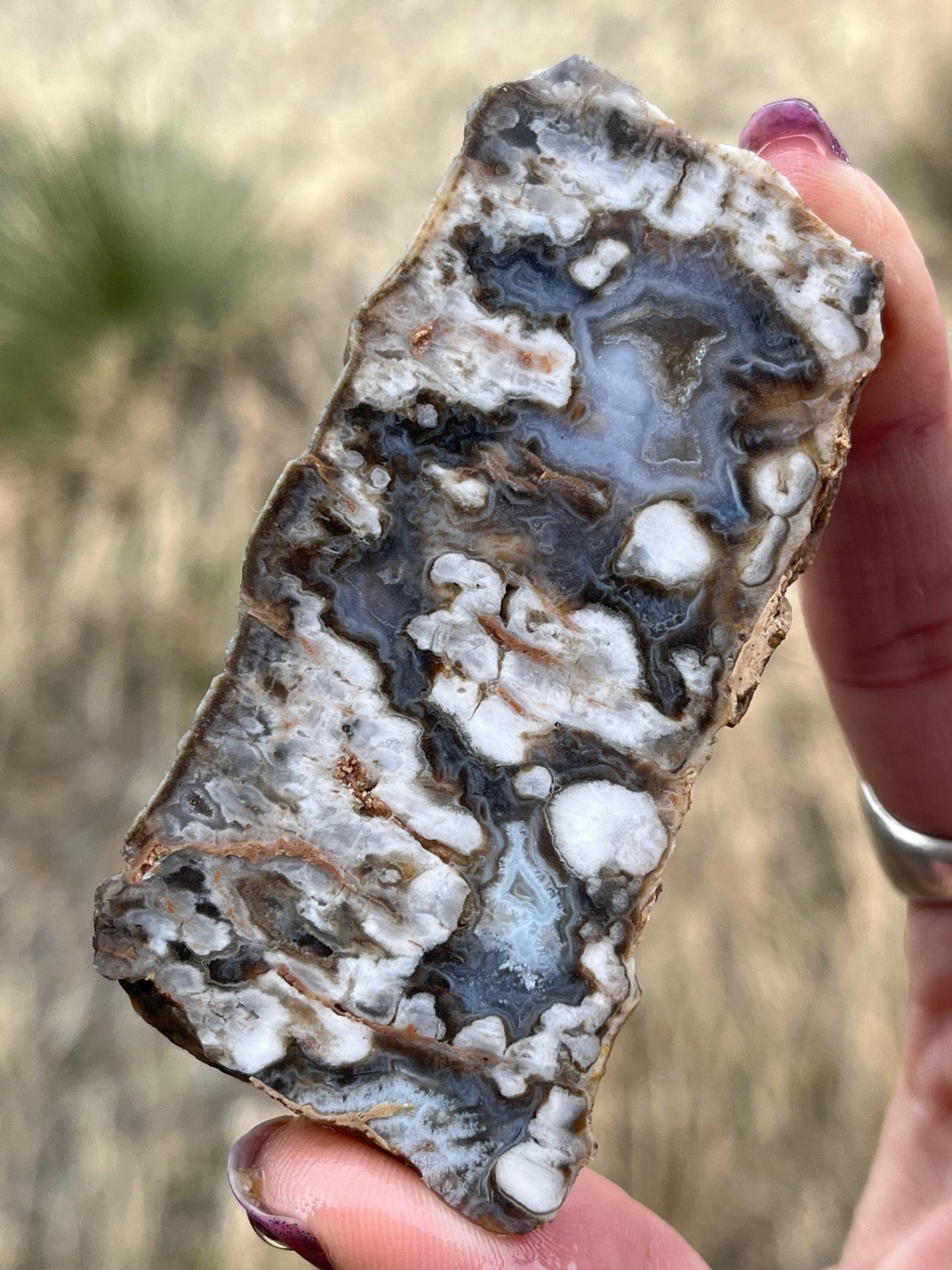 Texas plum agate lapidary slab supplies stone