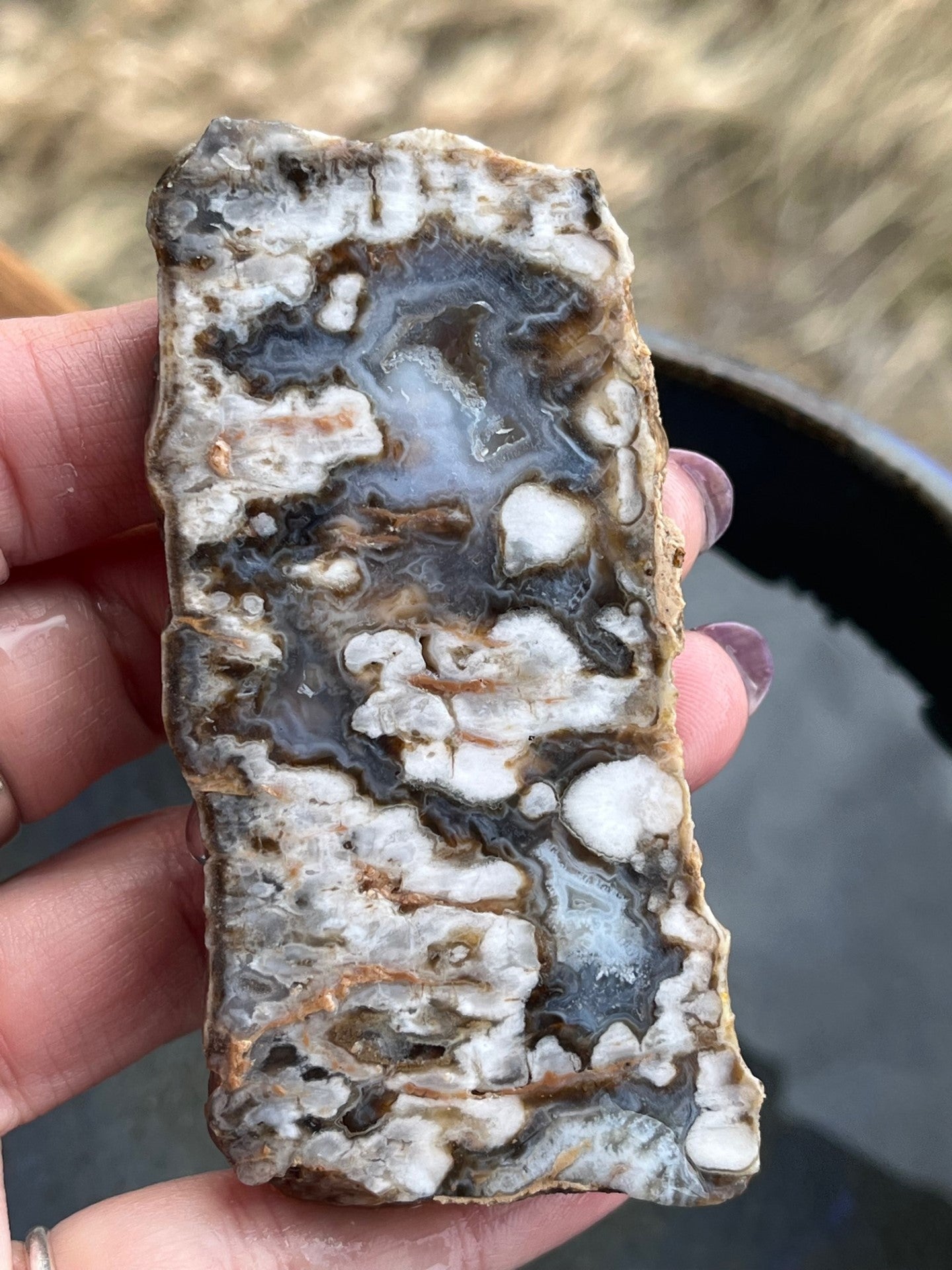 Texas plum agate lapidary slab supplies stone