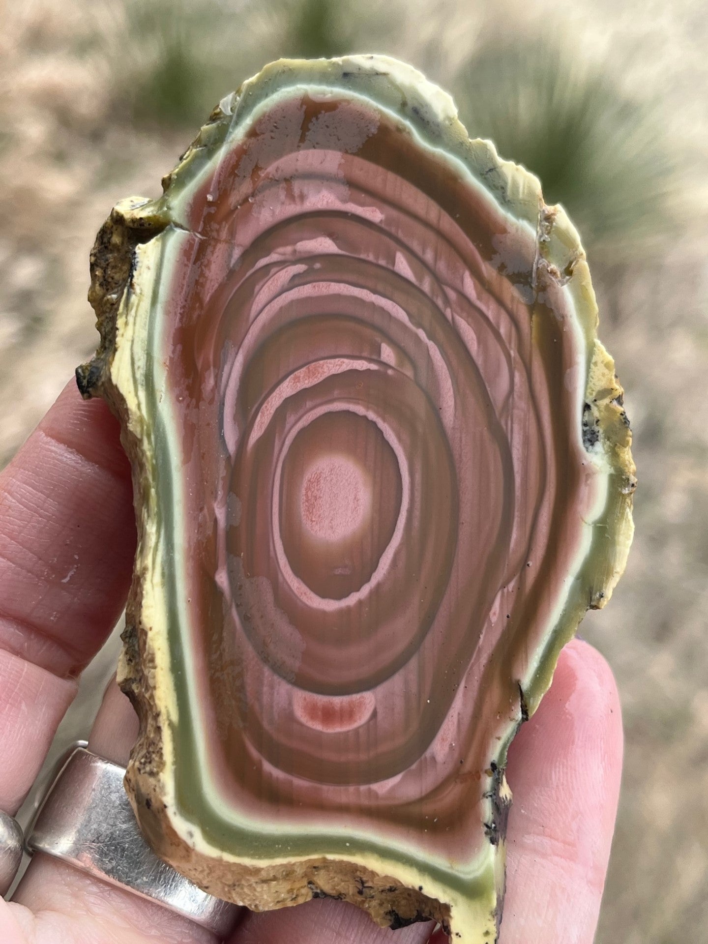 Imperial Jasper lapidary slab stone magenta