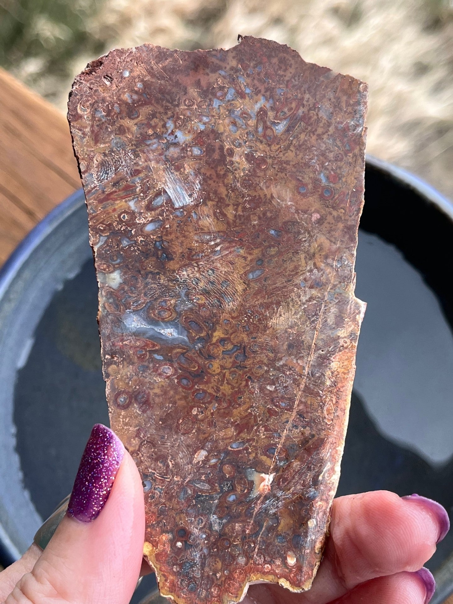 Indonesian Stromatolite lapidary slab stone